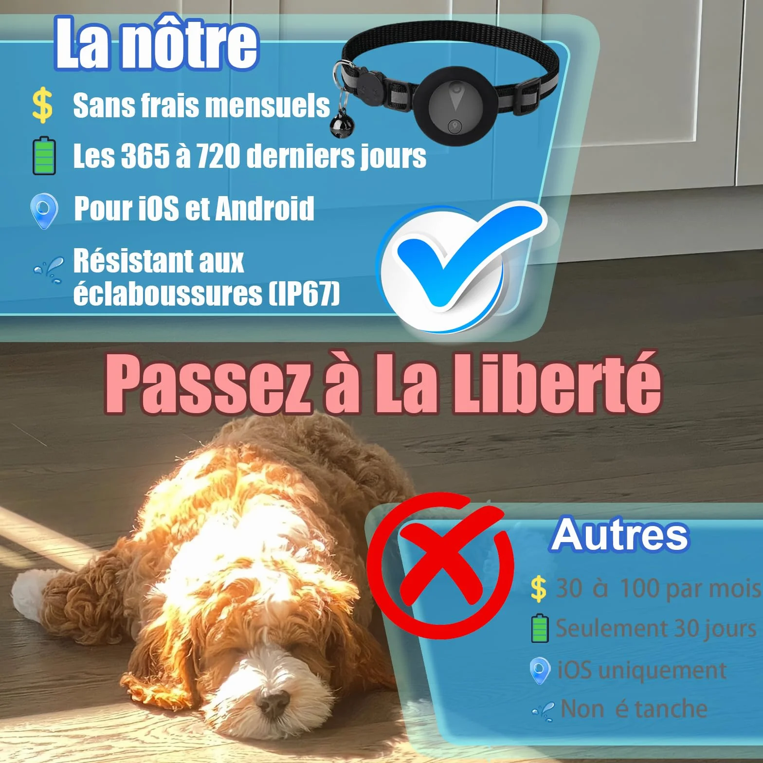 Collier GPS Chat Enregistrement des Trajets sur 7 Jours Collier GPS pour Chien Compatible avec iOS et Android GP S Chien Suivi en Temps RéEl GP S Tracker Traceur pour Animaux éTanche IP67 - Noir