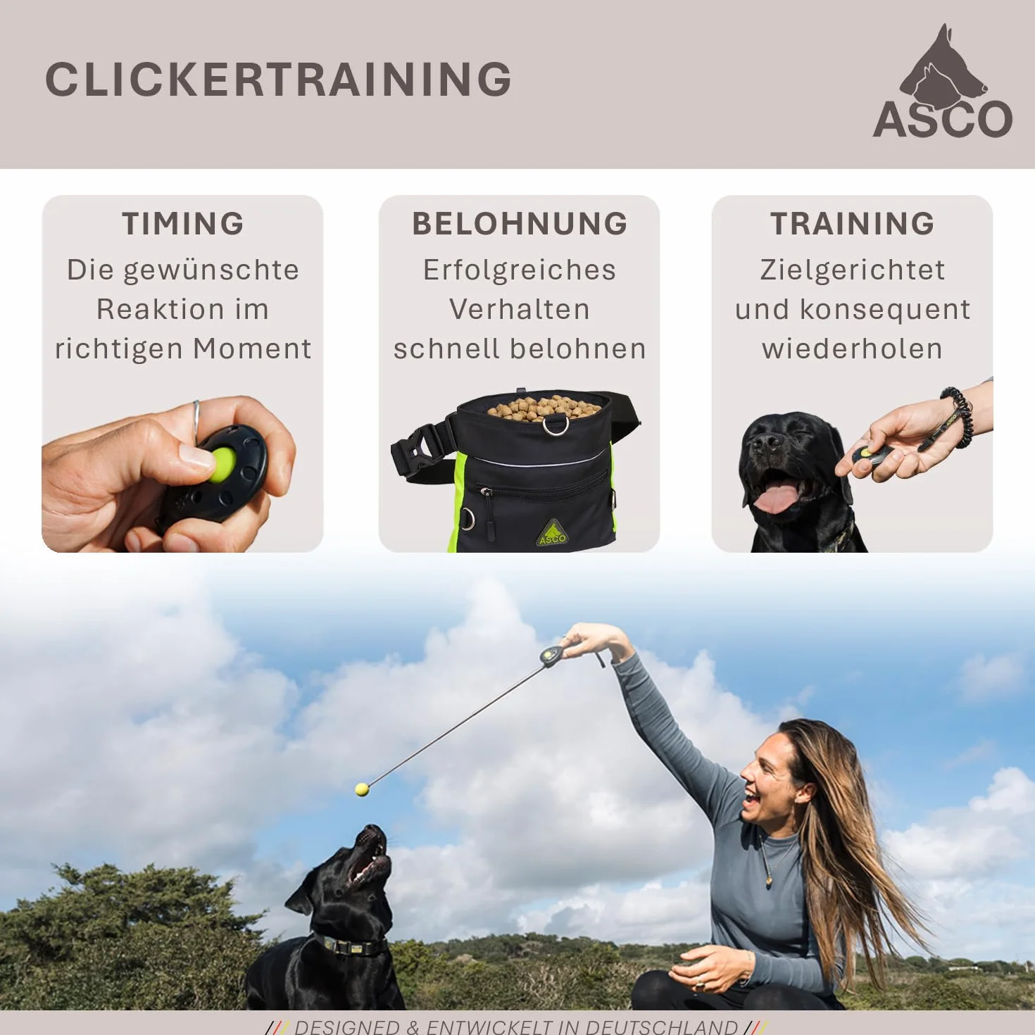 ASCO ClickStick®, Target Stick avec cliquet de qualité supérieur Amovible, Cible télescopique pour Chiens, Chats, Cheval cliquet de Dressage, Noir AC01TCS