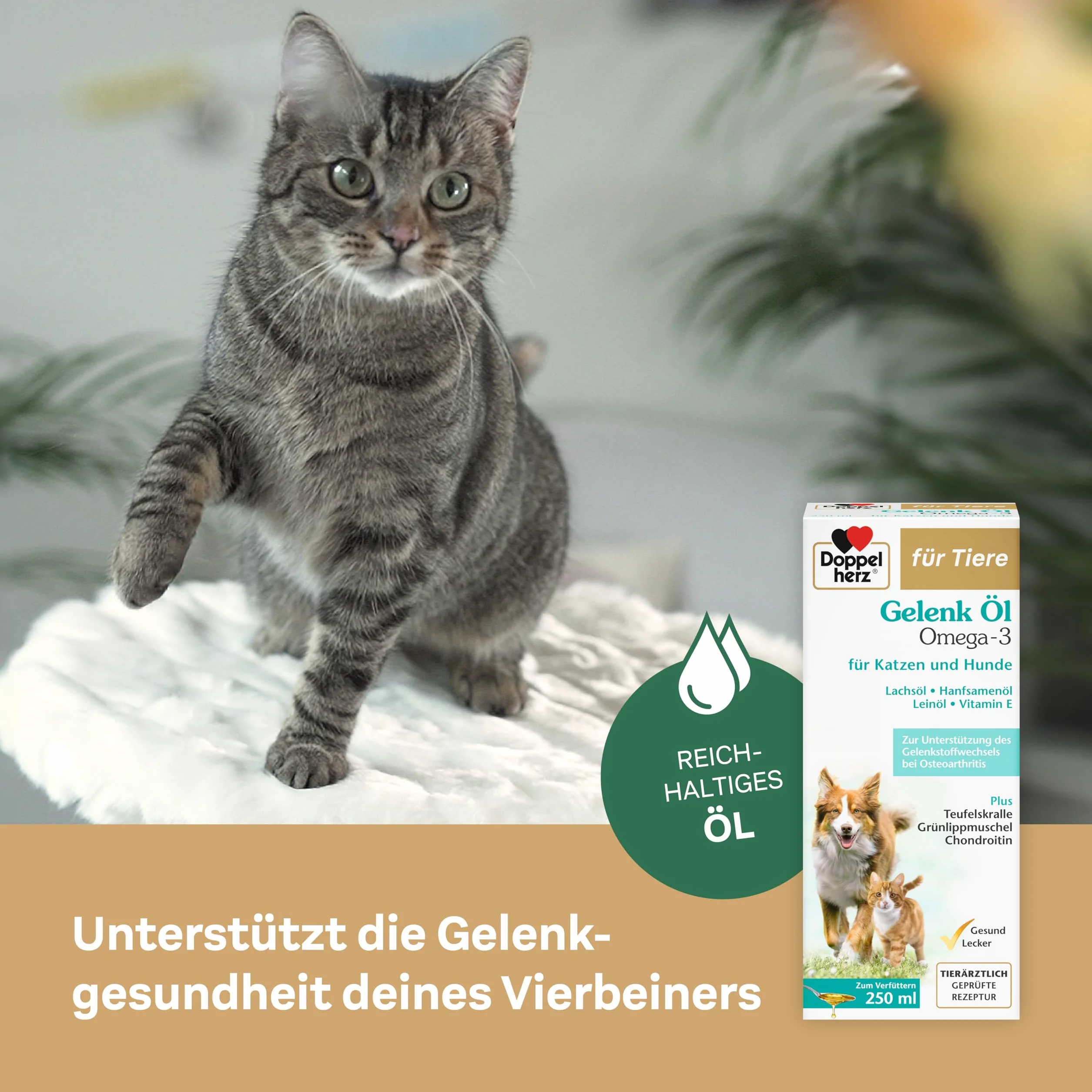 Doppelherz Huile pour articulations Chats Chiens oméga-3 chondroïtine 250 ML