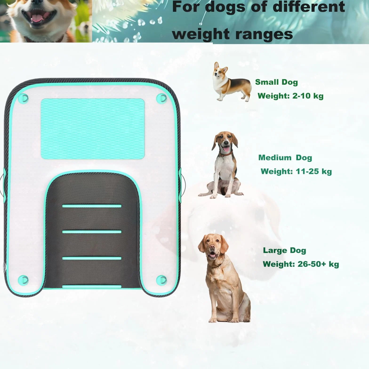 Rampe gonflable pour chien, échelle de quai flottante EVA antidérapante pour bateau, piscine, lac jusqu'à 100 kg