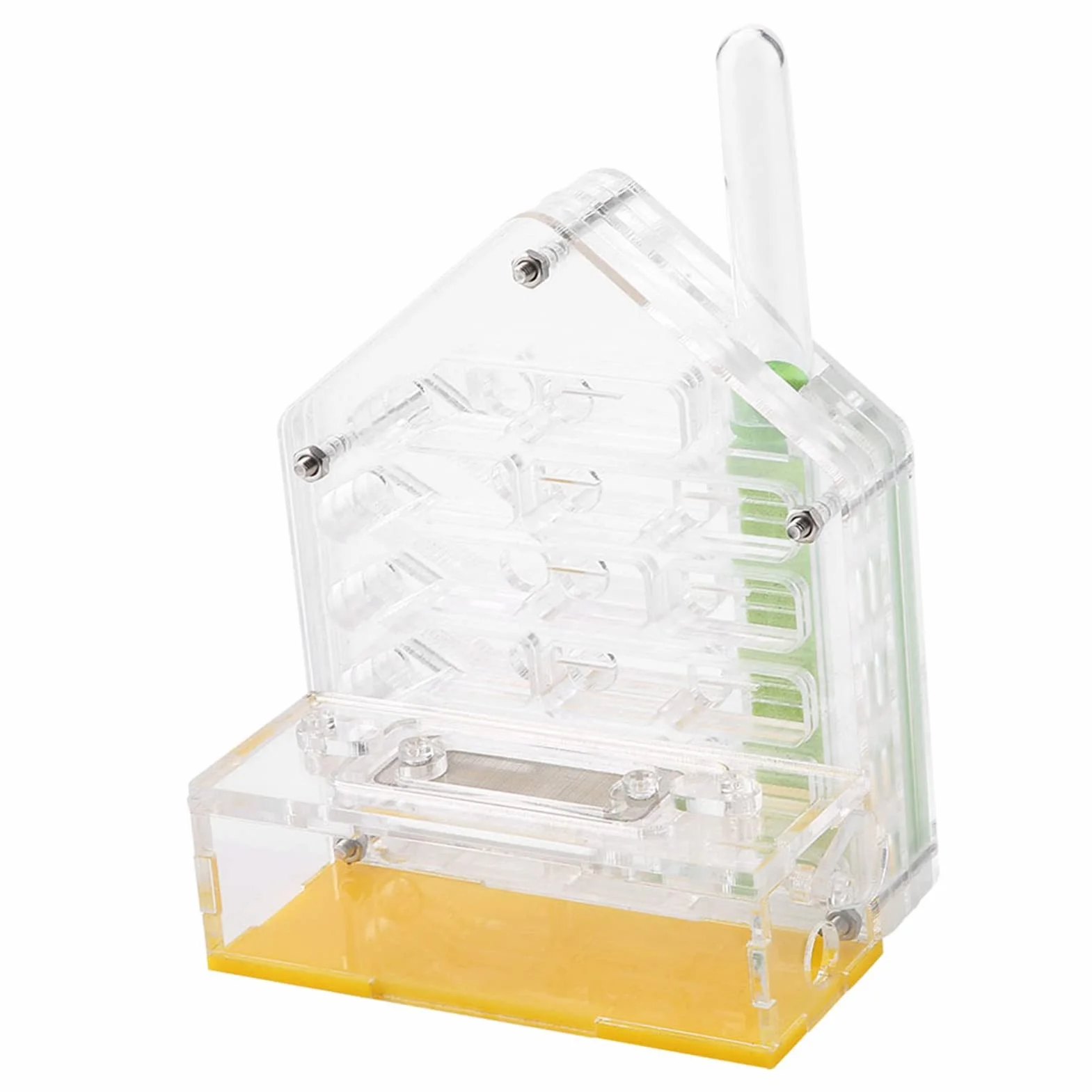 Formicarium Nourriture pour Fourmis 12×11×8 Acrylic Farm The Farm is Alive