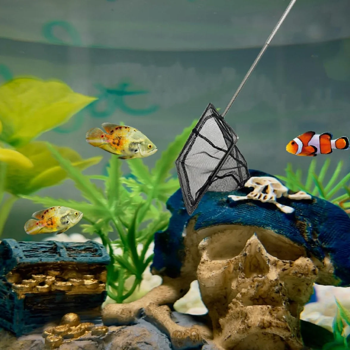 Epuisette Aquarium avec Manche Télescopique en Acier Inoxydable, Épuisette Aquarium pour Attraper Les Petits Poissons et Crevettes et Nettoyer L'aquarium, Extensible 31-61cm