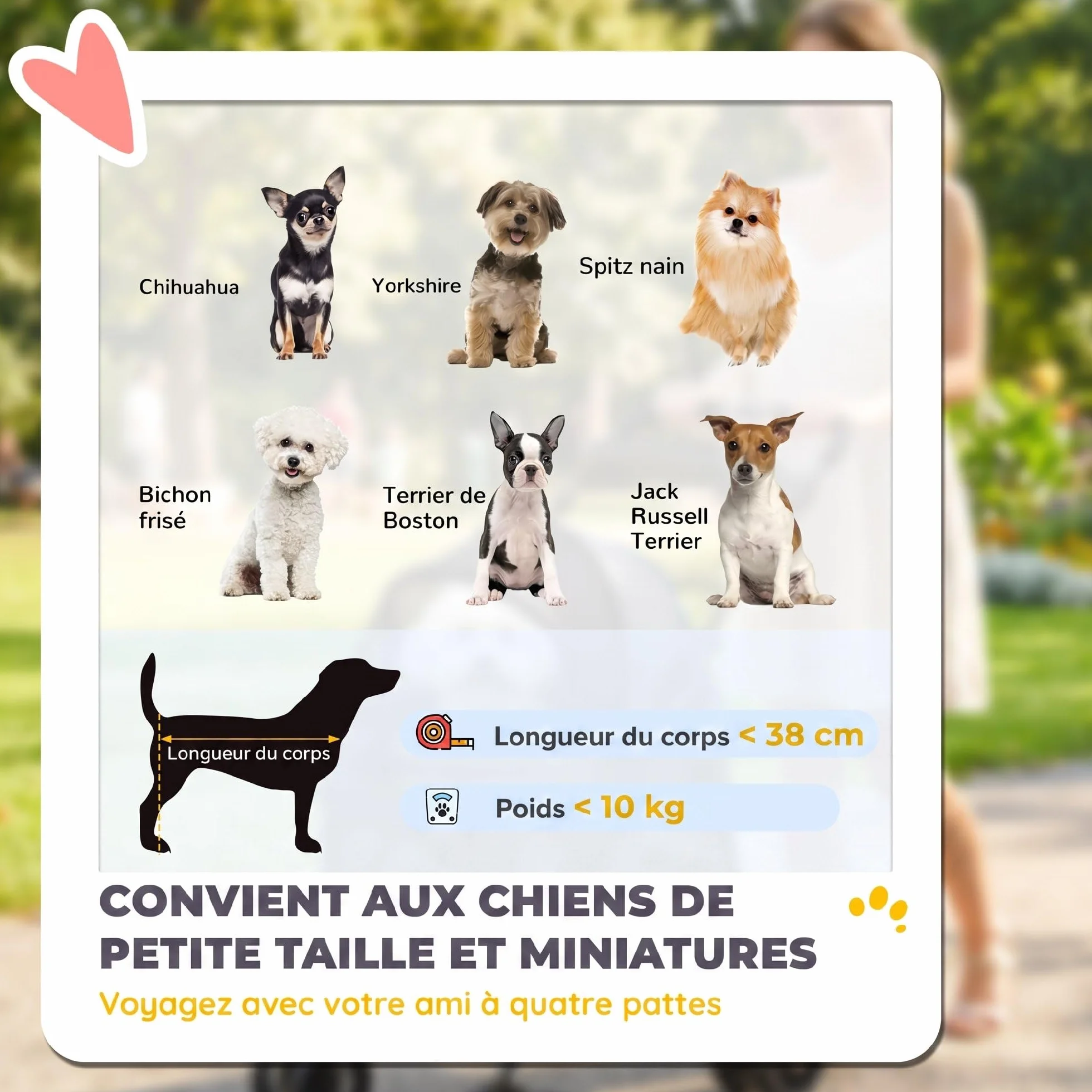 PawHut Poussette pour Chien avec 4 Roues EVA, Chariot Pliable, Frein, Gris