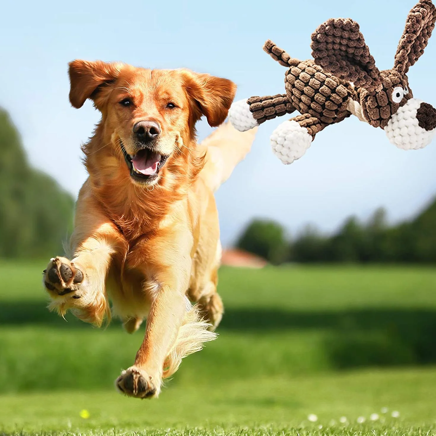 Cielbleu Jouet pour Chien Jouets Couineur Peluche Interactifs à Mâcher 3 Pièces