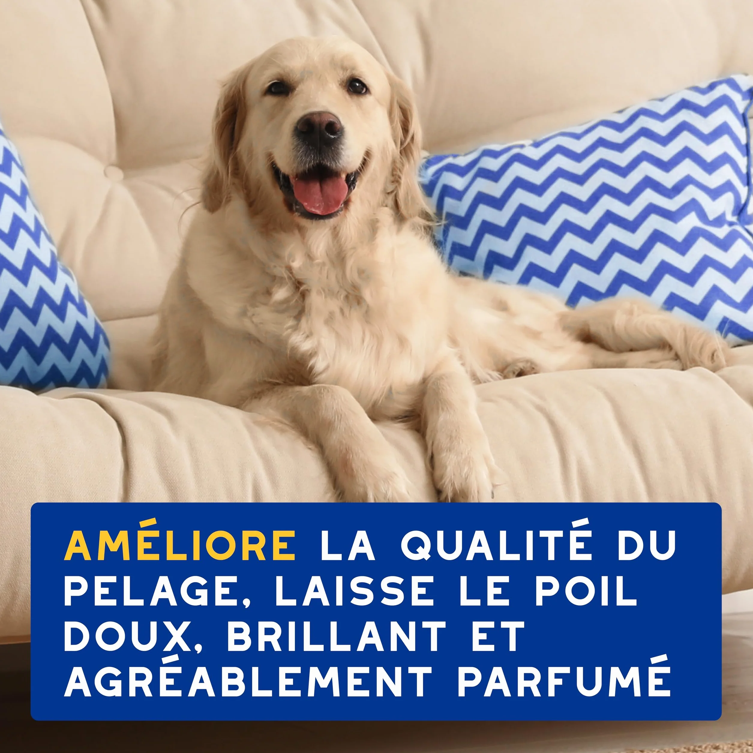 DOUXO Skin & Coat Spa - Ultra-Safe Shampoing hydratant pour Chien, 250mL, Nettoie et Hydrate la Peau Profondeur, Laisse Le Pelage Doux et éclatant, Formule respectueuse de la Peau.