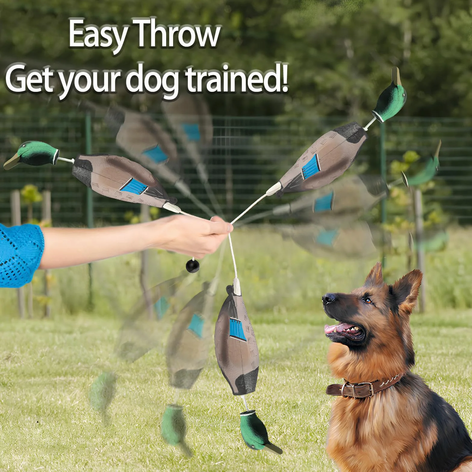 Factice Canard Dressage Chien, Jouet Entraînement Chasse Chien Retriever