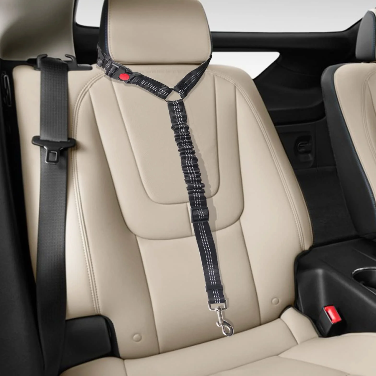 Ceinture Sécurité Chien Voiture Noir Petit Moyen