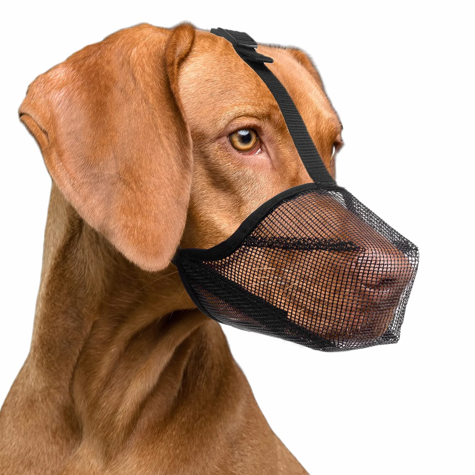 Muselière pour Chien avec Mailles arrondies, Muselière Respirante pour Petits, Moyens et Grands Chiens, empêche de Manger, Mordre et mâcher(L, Noir)