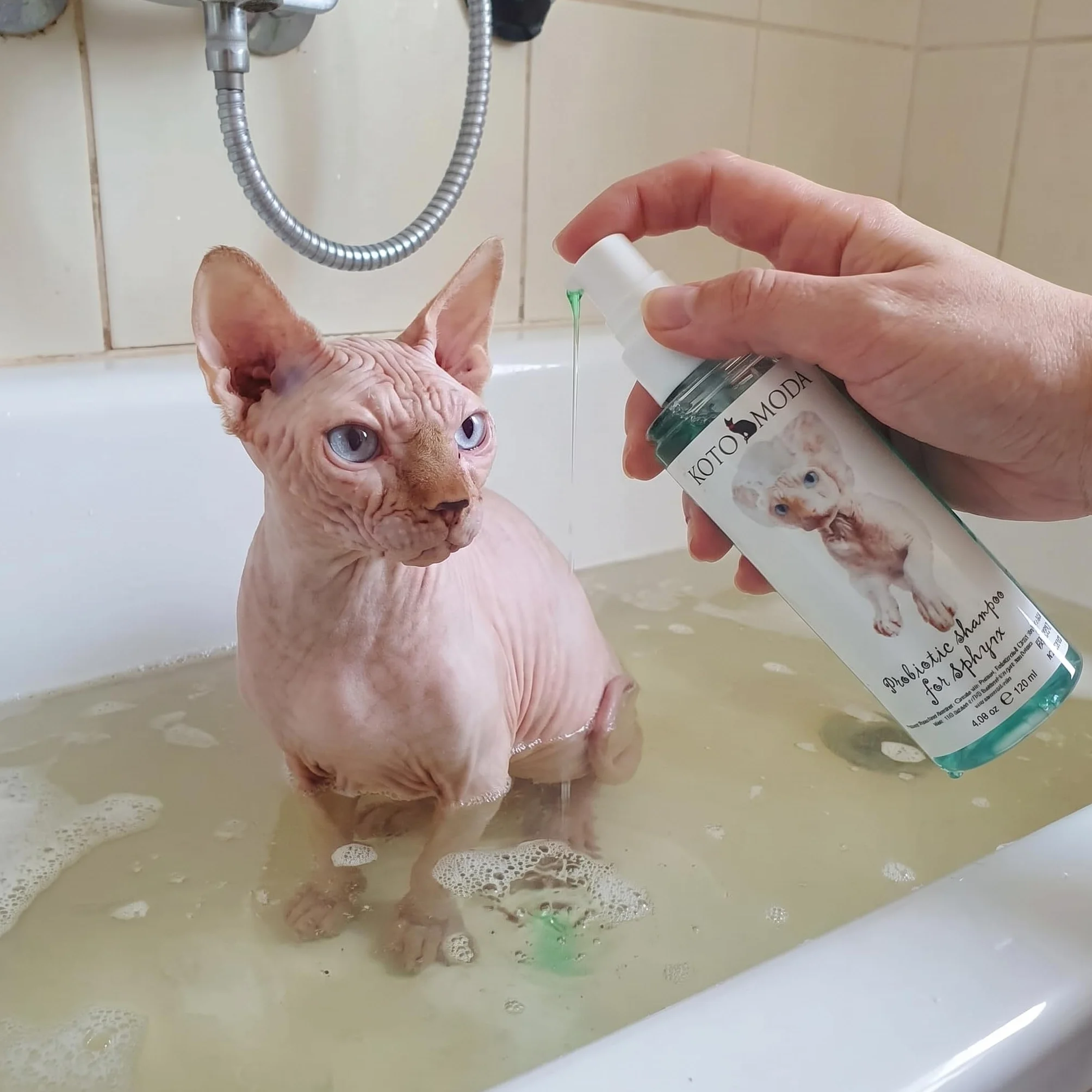 Shampooing Probiotique pour Chats Sphynx 120 ml Nettoyant Doux pH équilibré Peaux Sensibles