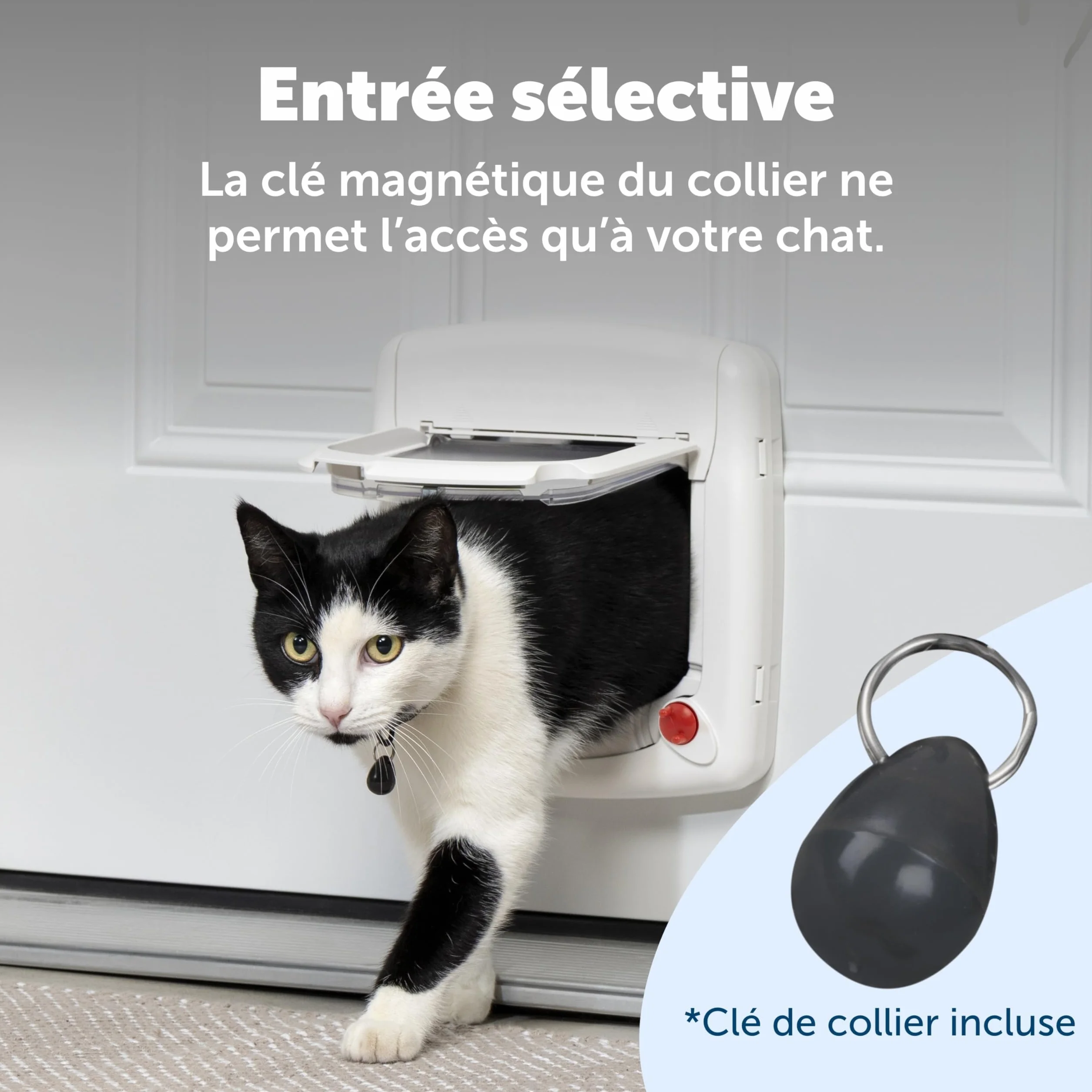 Petsafe Chatière Magnétique Deluxe Staywell pour Chat avec Verrouillage 4 Positions Collier Clé Magnétique Blanc