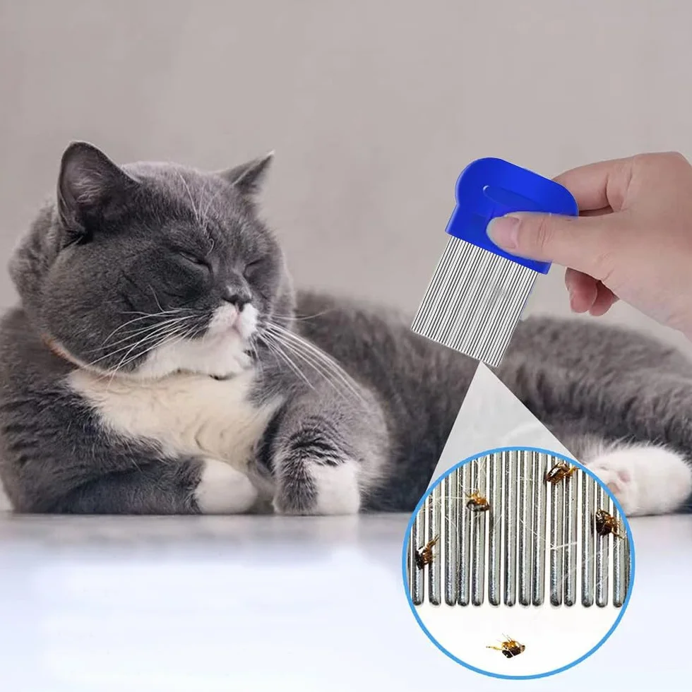 Set de 4 peignes anti puces pour chats et chiens, peigne de toilettage multifonctionnel