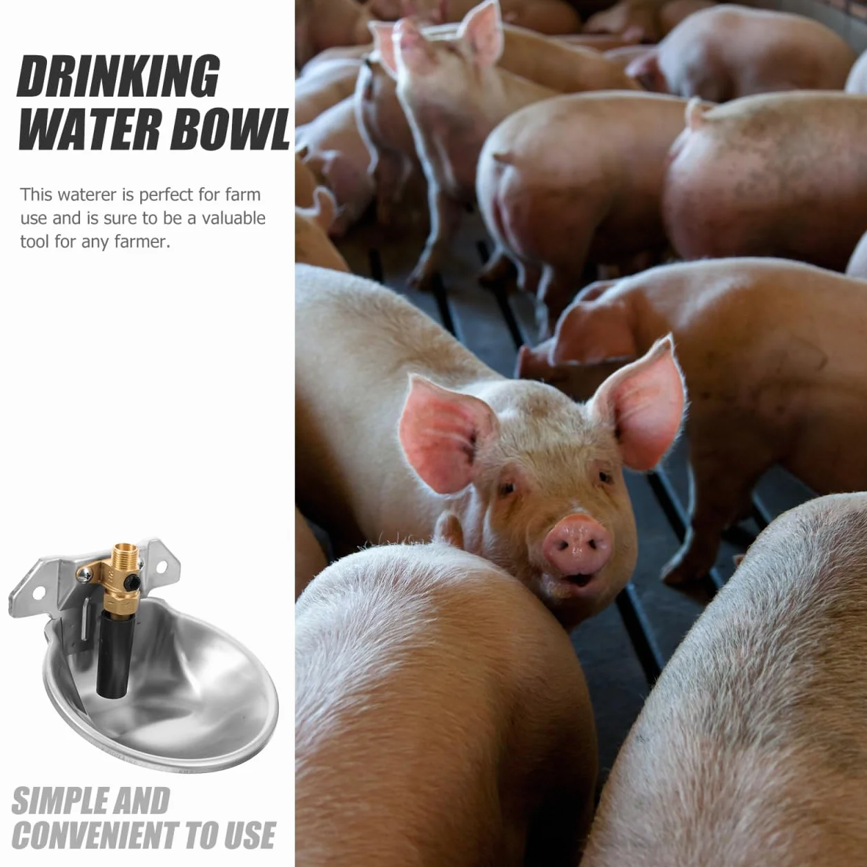 Abreuvoir Automatique Inox Bol Eau Anti-éclaboussures pour Bovins Ovins Régulateur Niveau Constant