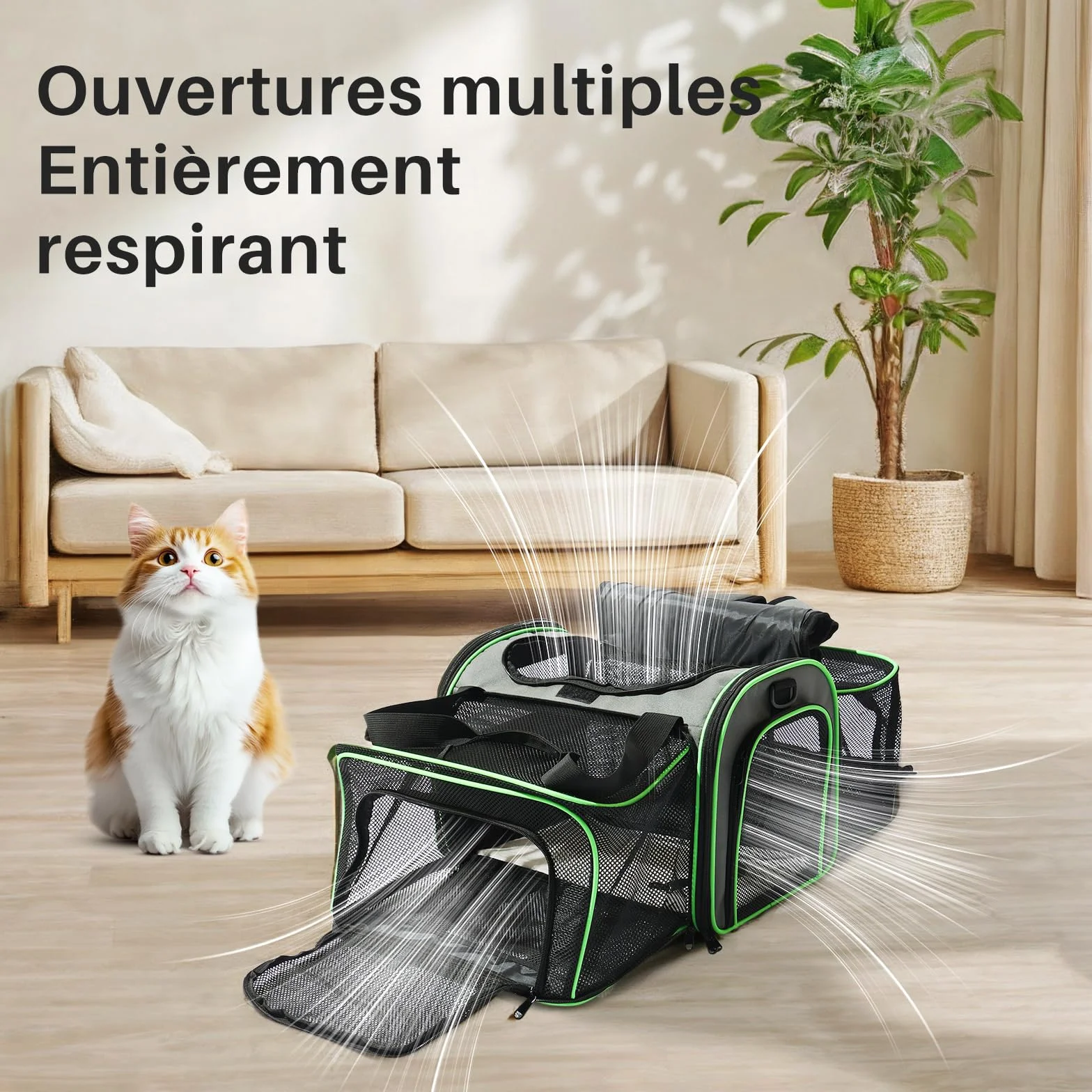Gardner Pet Sac Transport pour Chat Chien Extensible, Grand Caisse de Transport Chat Respirant et Pliable, Cage Transport Chat pour Voyage en Avion/Train/Voiture - L/Gris