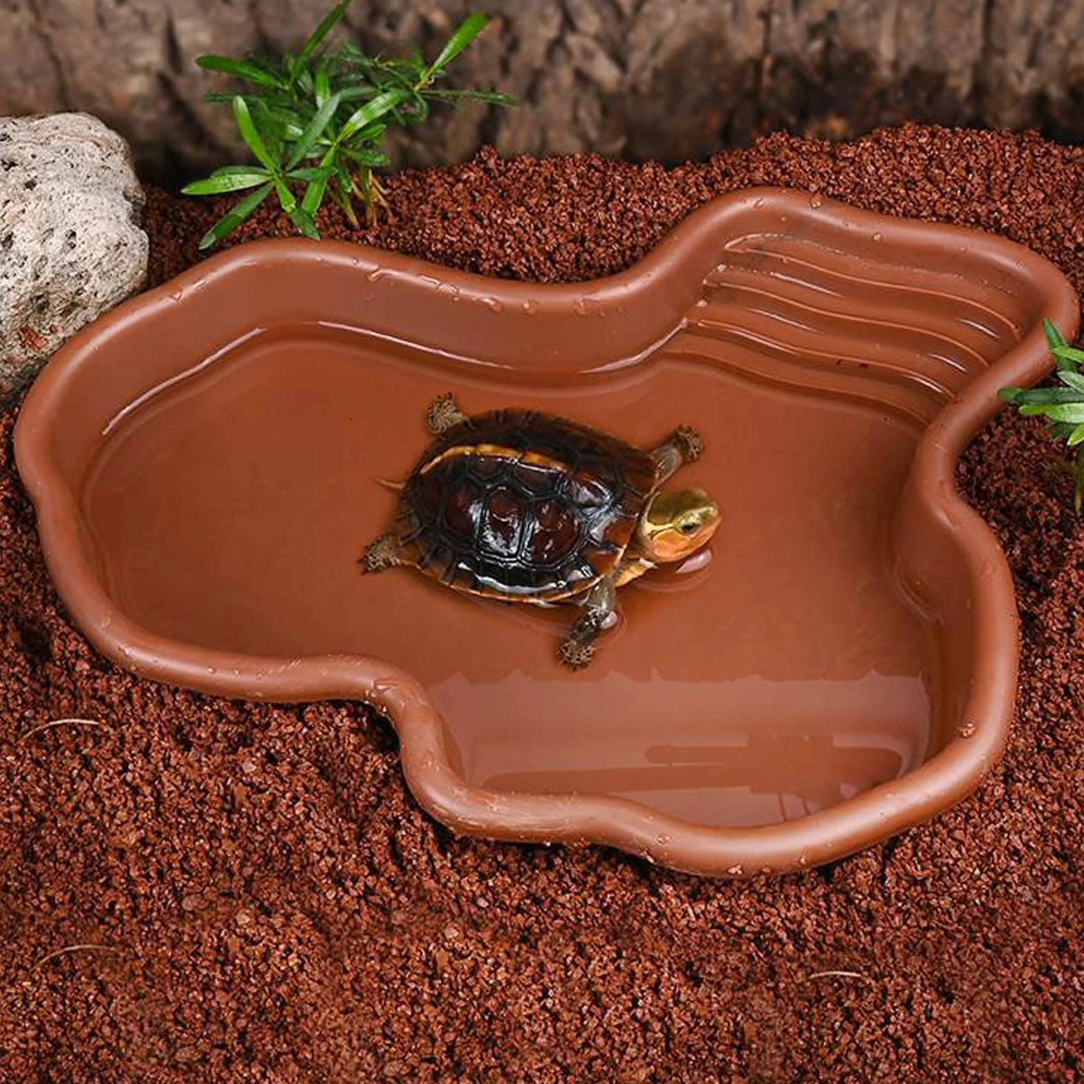 Baignoire pour Reptiles Piscine pour Tortue Terrestre avec Absorbeur d'eau Manuel