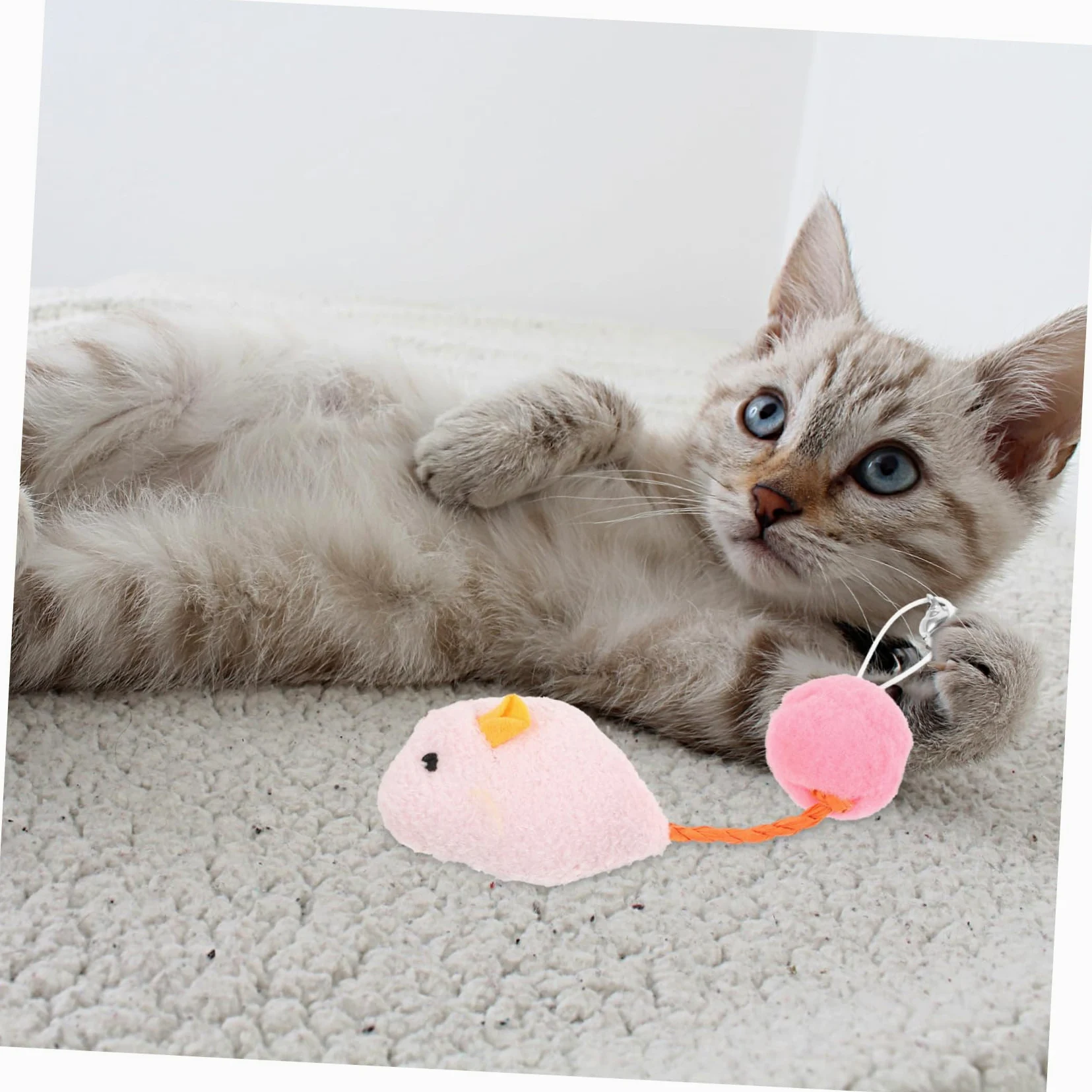 6 Pièces Souris avec Accessoires Interactifs pour Actifs Blancs