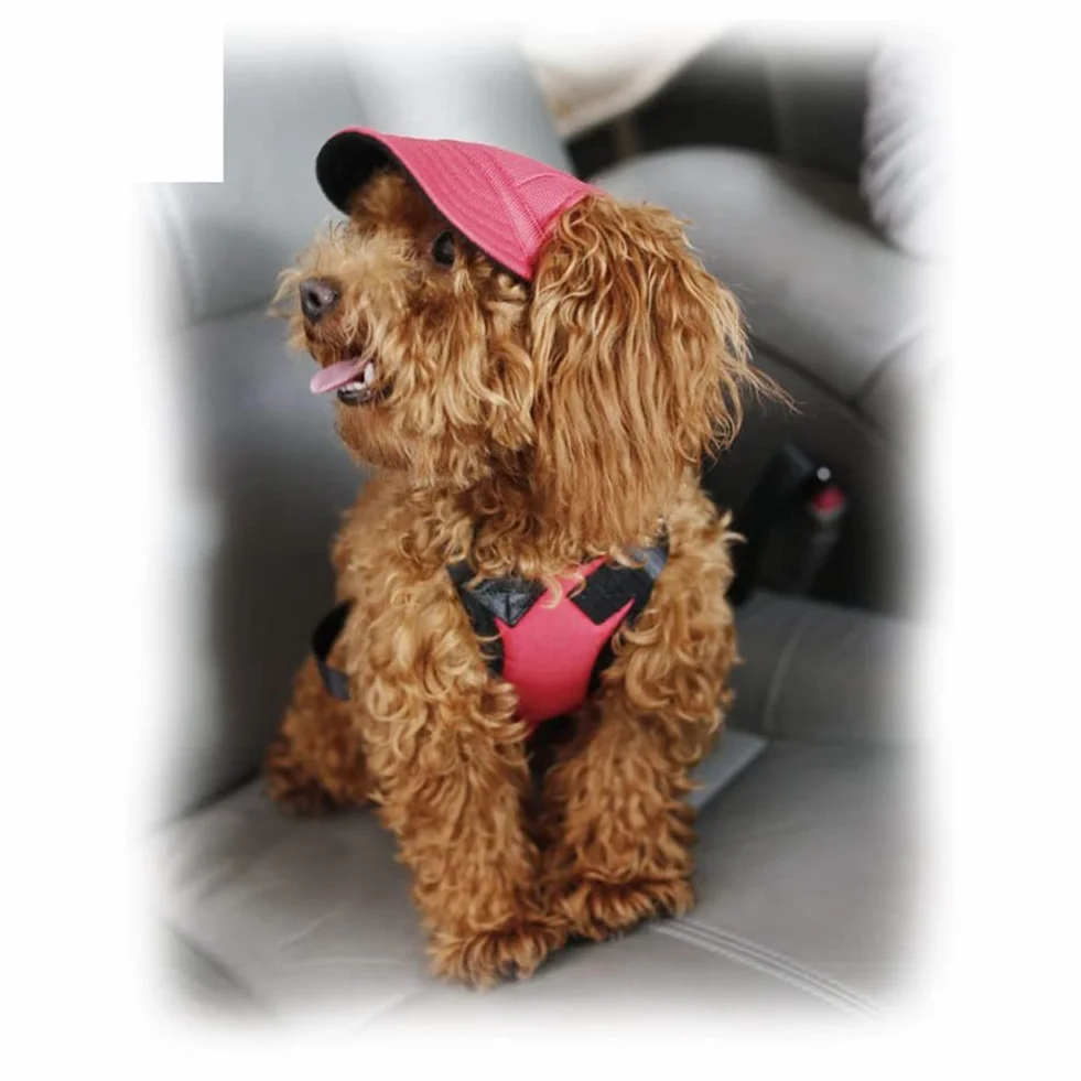 Casquette de baseball pour chiens Chapeau de protection solaire avec trous