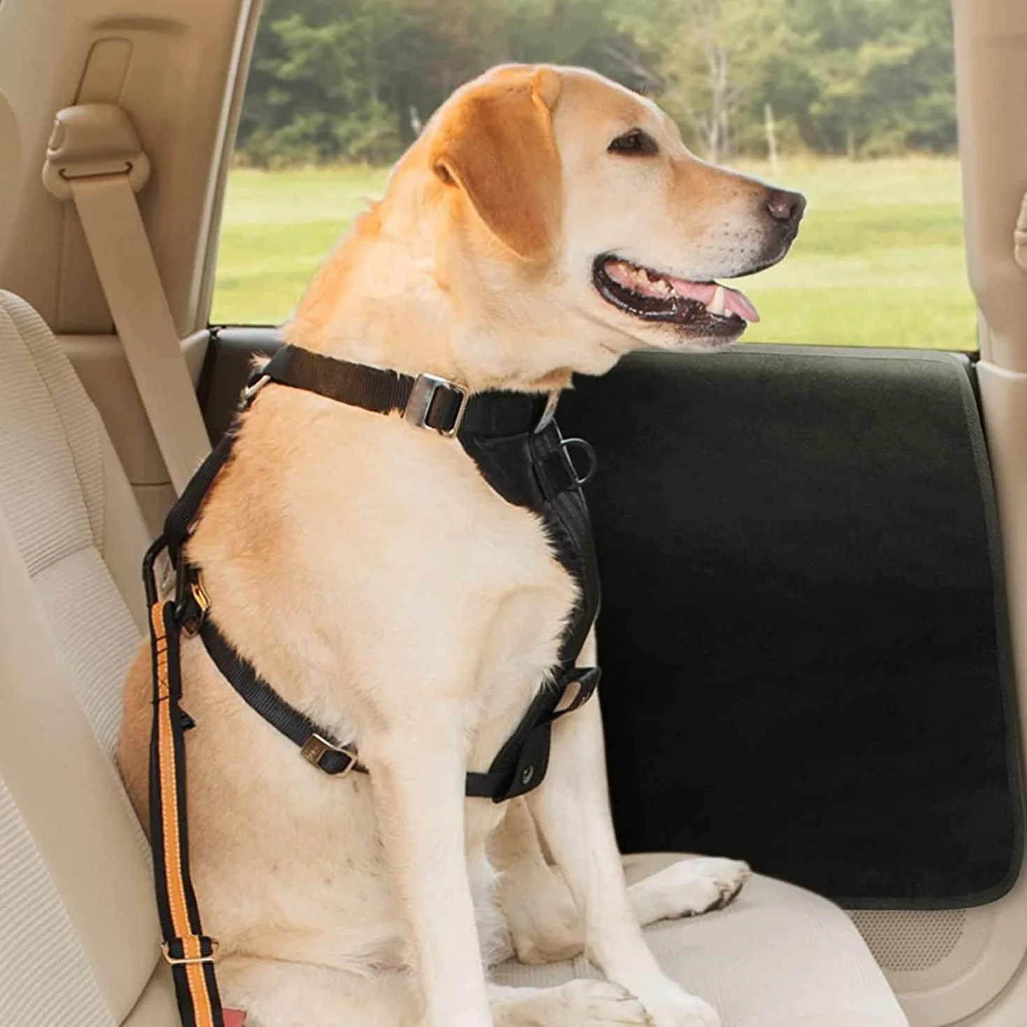 Couverture de Protecteur de Chien pour Porte de Voiture Housse de Protection pour Chien Animaux Réglable, Protection de Porte de Voiture Imperméable Couverture de Véhicule Chiot Voyager (Noir)