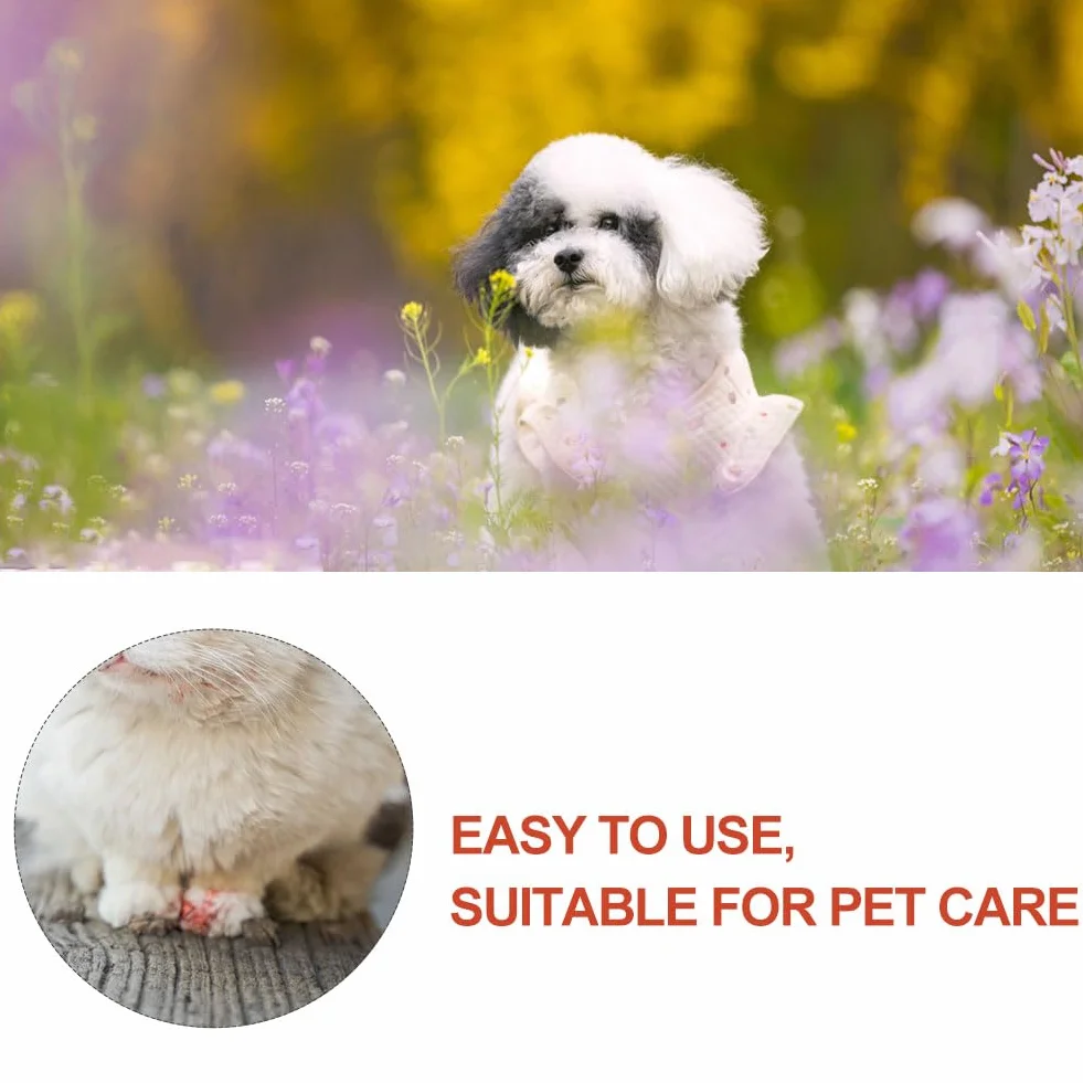 Cerioll Poudre Styptique 50g pour Chiens et Chats, Arrêter Saignement Pattes