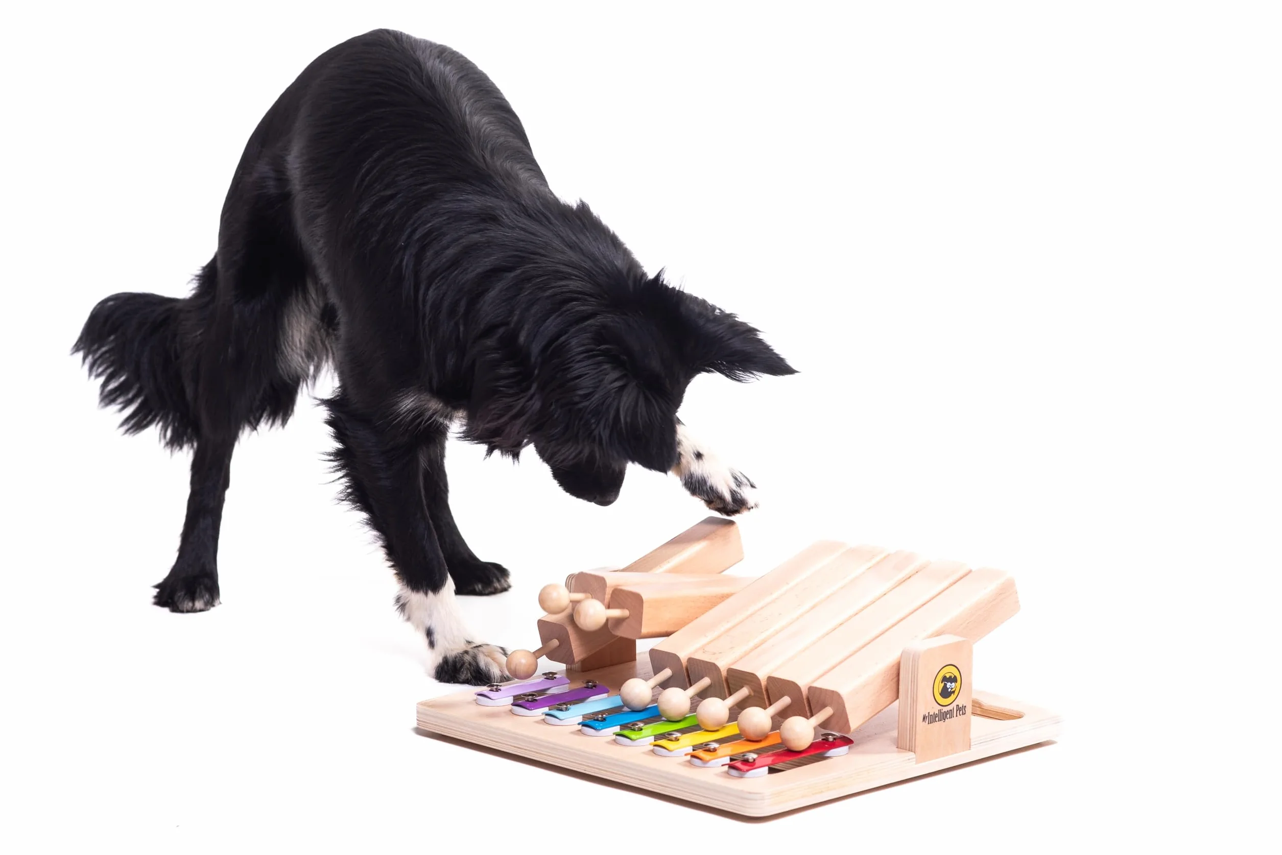 Jouet Chien Occupation – Jouet Interactif pour Chat et Chien - Jeu Intelligence pour Chiens, Jouet Chat Interactif pour Stimulation Mentale et Antiennui - Piano