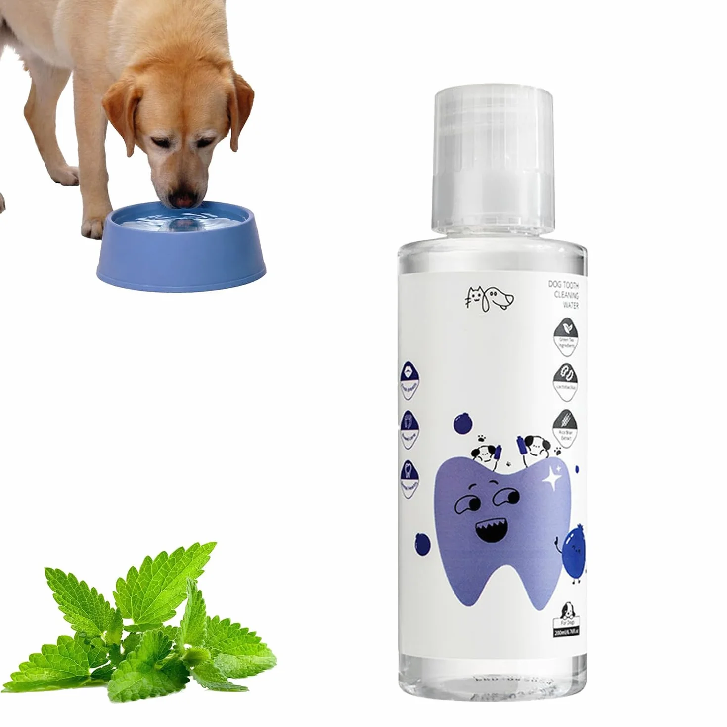 PawBright Dental Plus bain de bouche naturel sans saveur formule naturelle anti-tartre gencives saines haleine fraîche