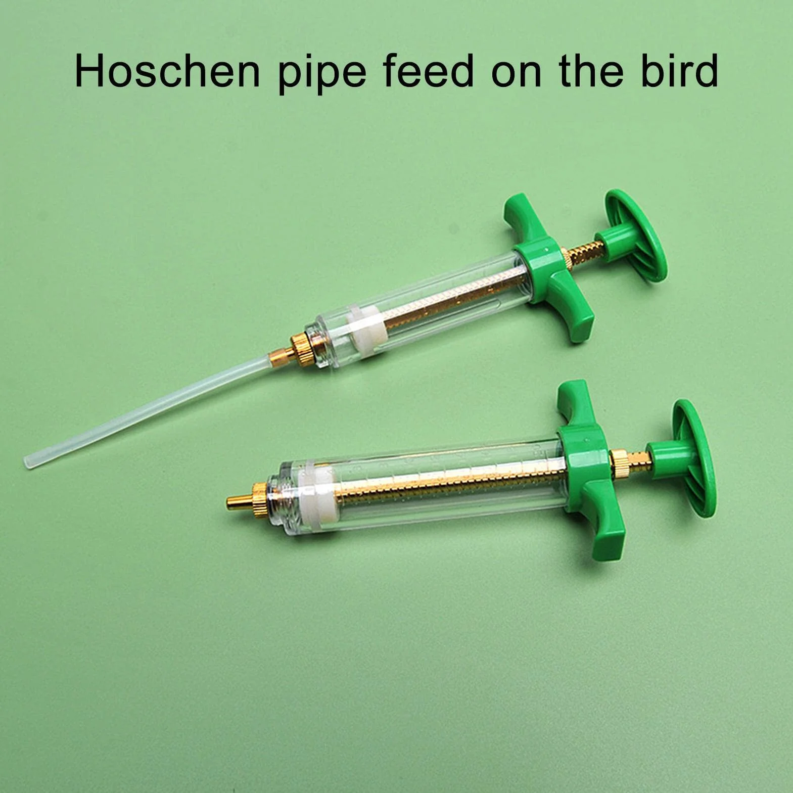 LOSOO Seringue d'alimentation pour oiseaux malades - Tubes d'injecteur