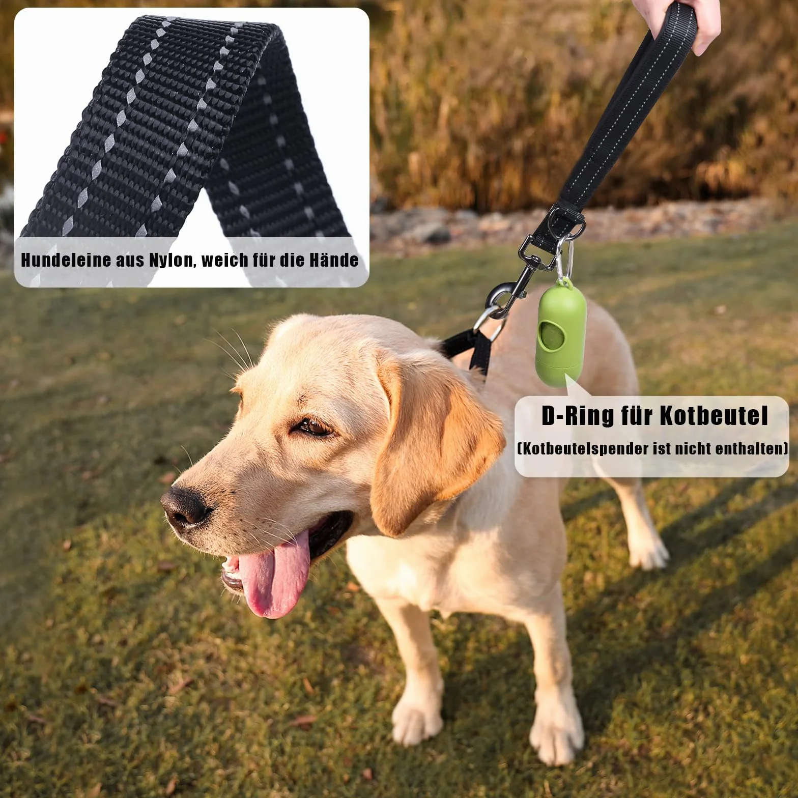Laisse pour Chien 30 cm Nylon réfléchissante Clip métal Rembourrage Doux Orange Taille S