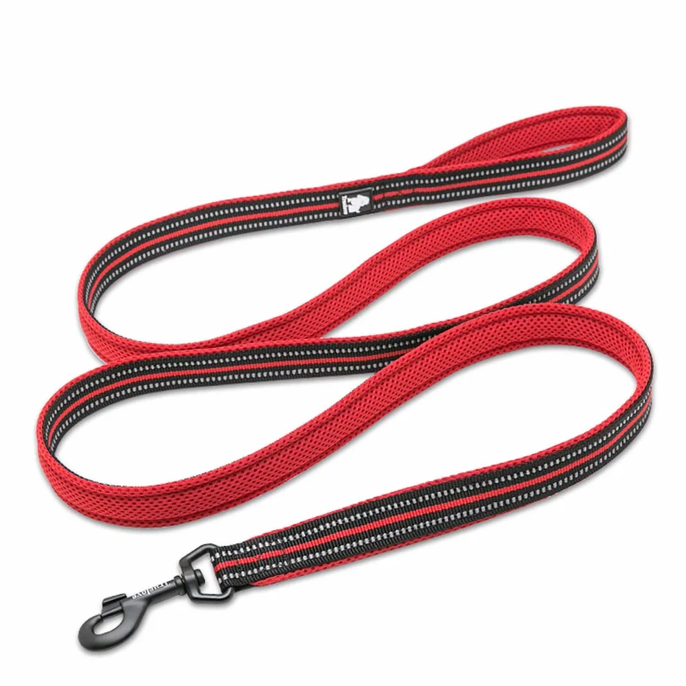 WINHYEPET Chien Laisse Nylon Réfléchissant 110 cm Rouge M