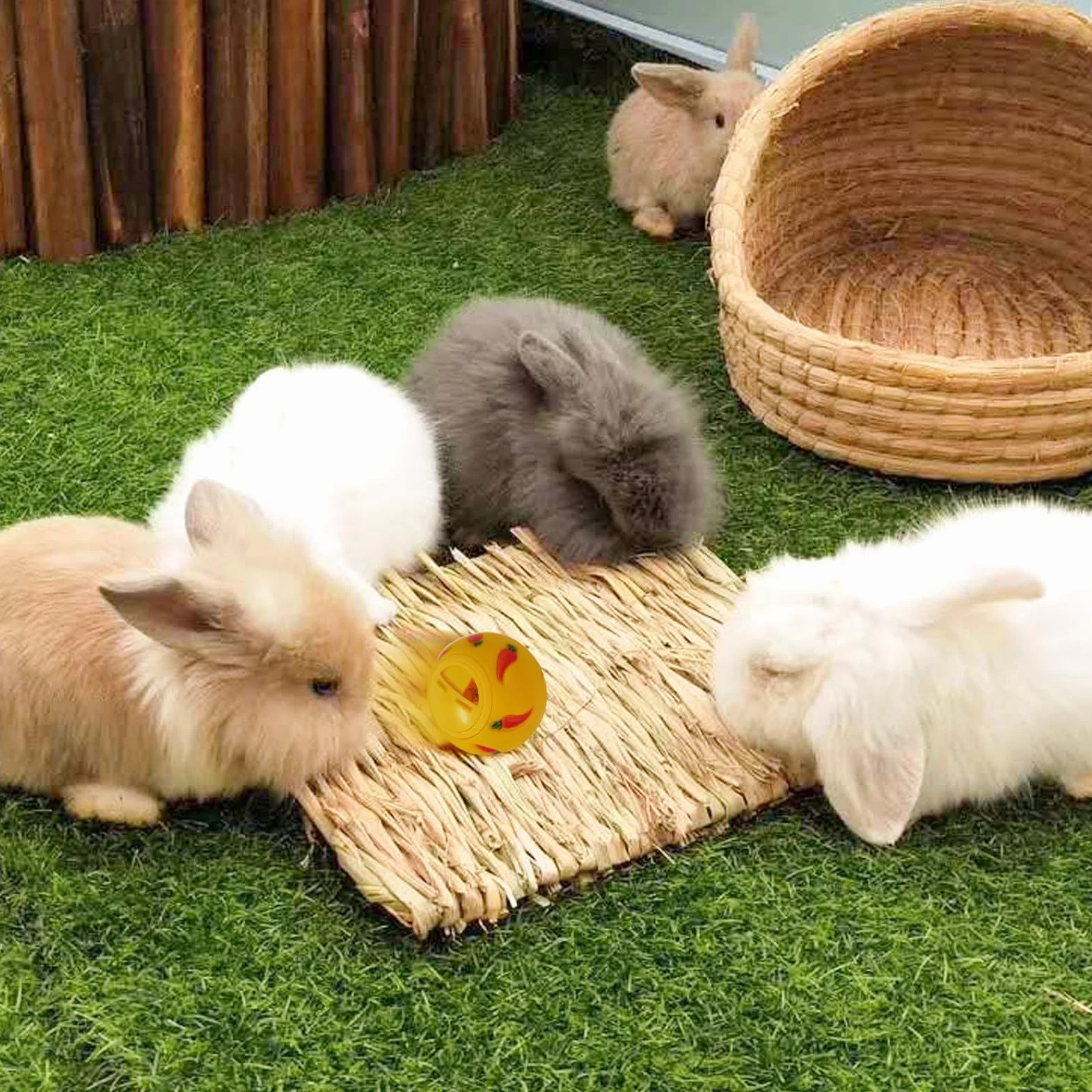 PVC Boule De Friandises pour Lapin, Distributeur De Boules De Friandises, Balle Snack pour Rongeur