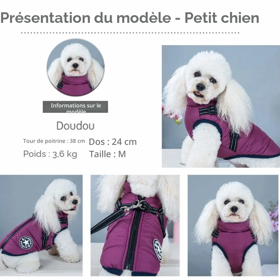 Gilet d'hiver pour chien avec harnais - Veste chaude extérieur pour chien