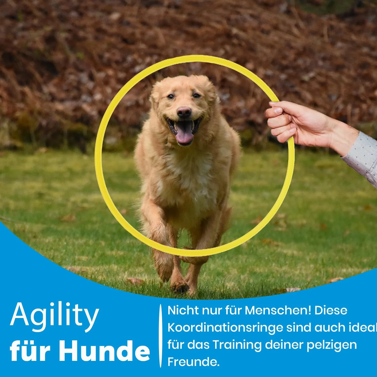 Lot de 12 anneaux de coordination avec sac pour entraînement agility chiens football
