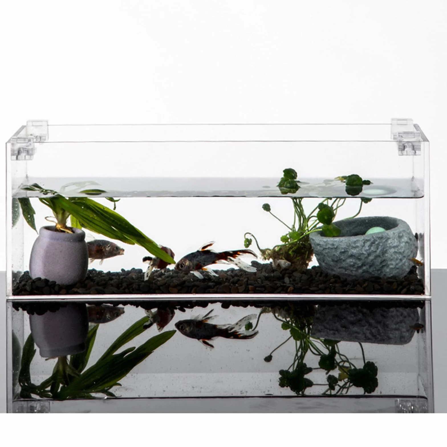 Supports de couvercle d'aquarium Lot de 10