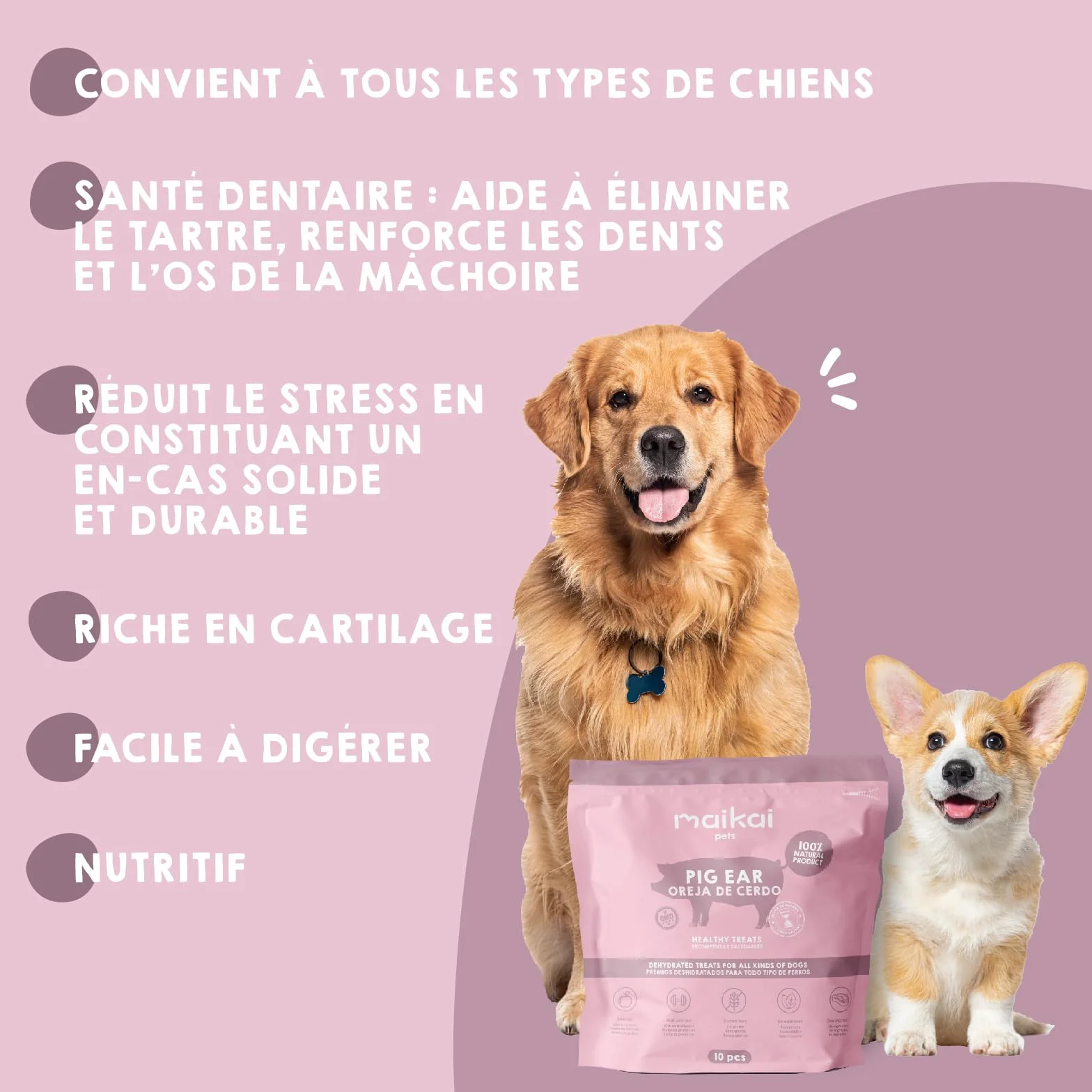 MAIKAI Lot Oreilles de Porc Séchées - Friandises Naturelles à Mâcher pour Chiens Riche en Protéines + sans Additifs Complément Alimentaire Idéal Barf