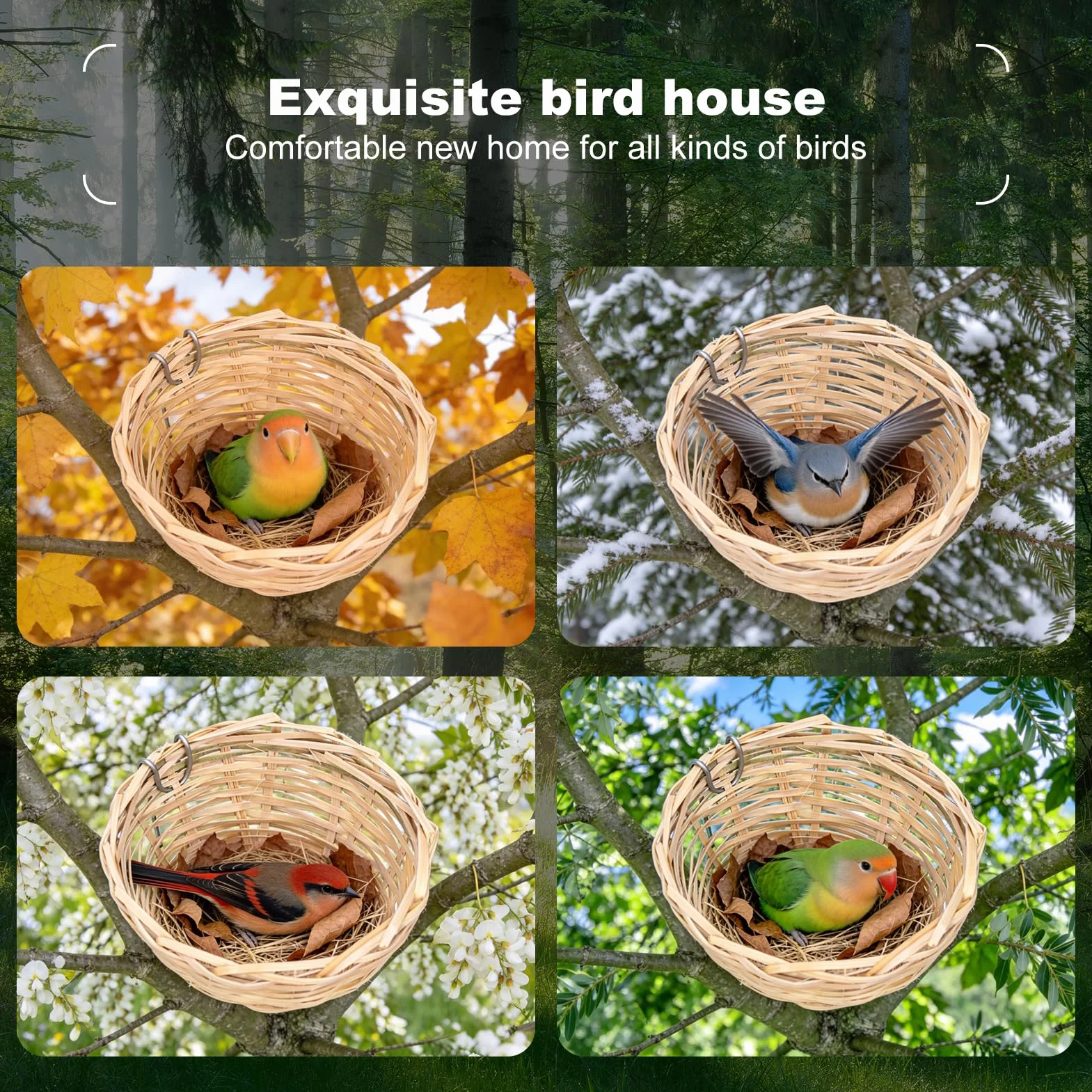 Nid D'oiseau Fait à la Main en Bambou pour Petits Perroquets Canaris Calopsittes avec Crochet