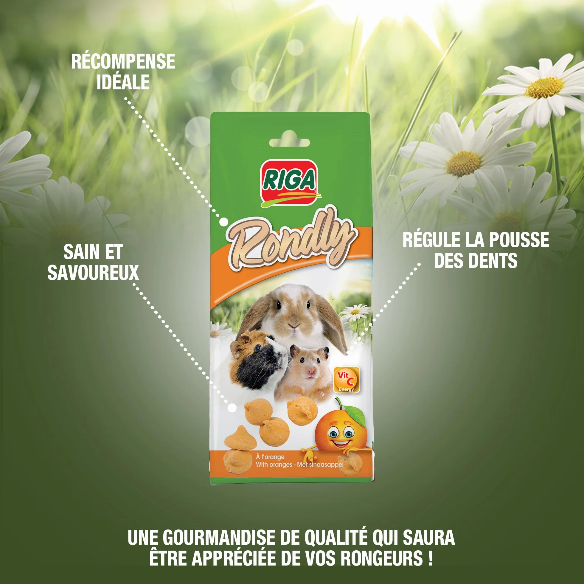 Rondly à l'Orange Friandise Complémentaire pour Rongeur 125 g