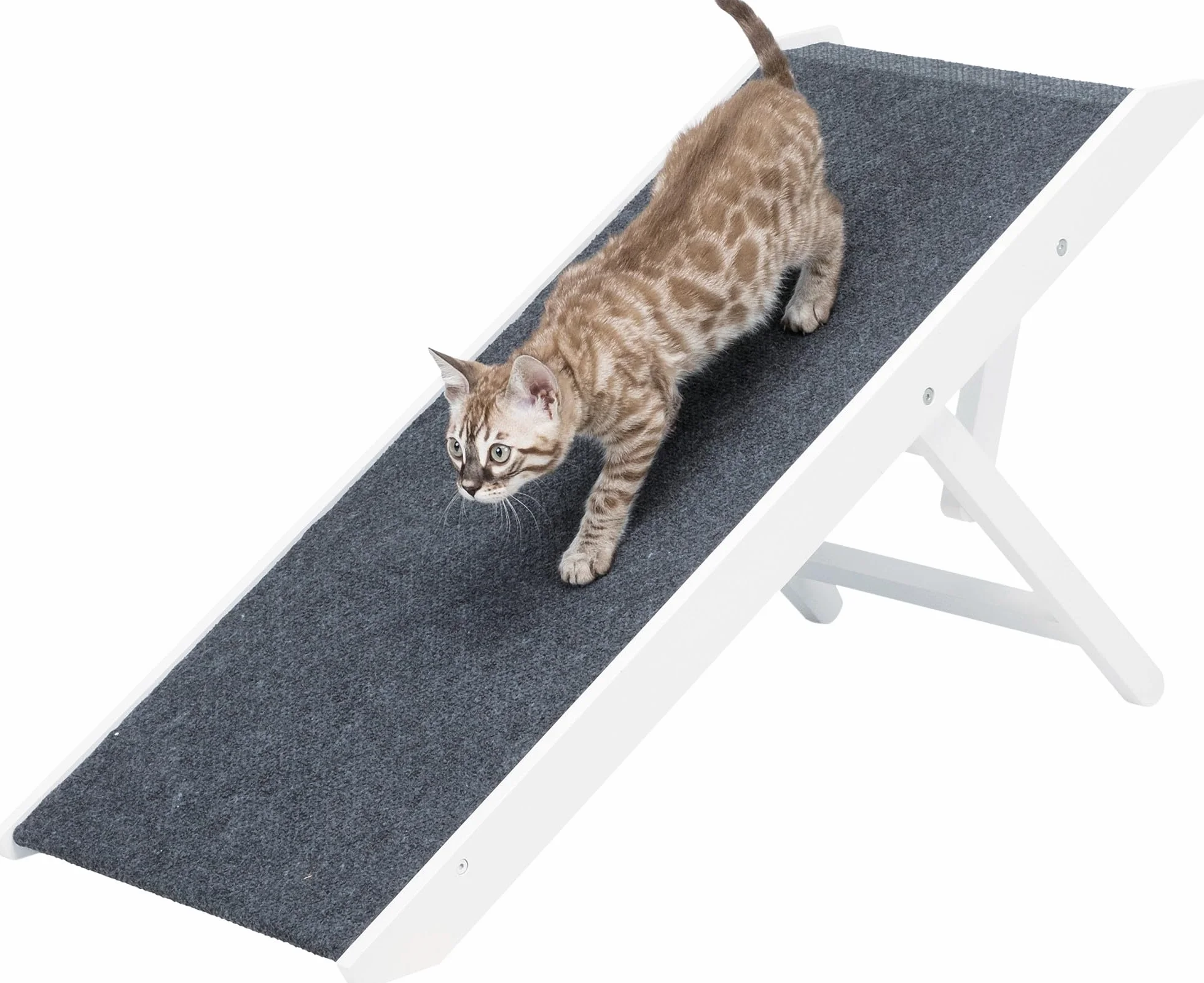 Trixie Rampe pour Chien, Blanc, 36cm X 90cm pour Chien