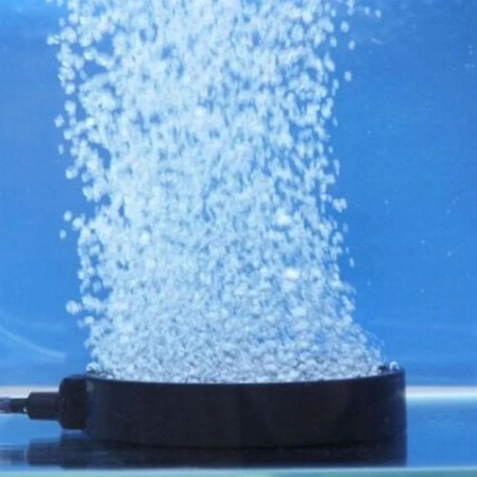 DIGIFLEX Disque de Pierre en Carborundum pour Aquarium