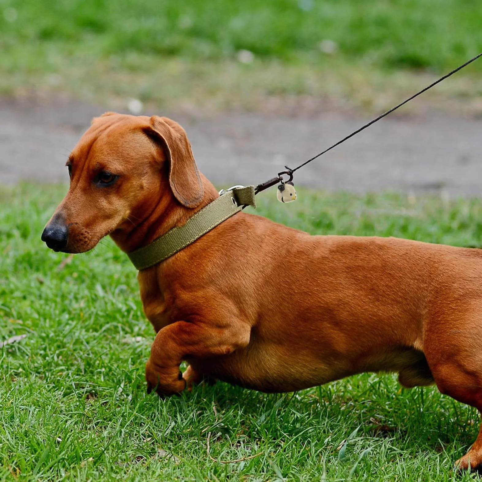 Milisten Cloche de Chien Grelot Cloches Artisanales Collier Cuivre