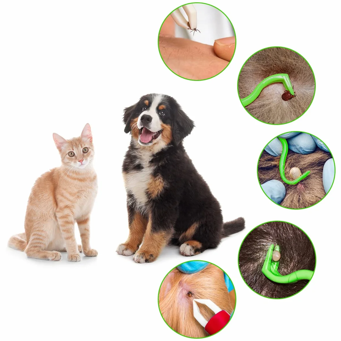 Pince à Tique pour Chiens 6PCS Crochet Anti Tiques Plastique