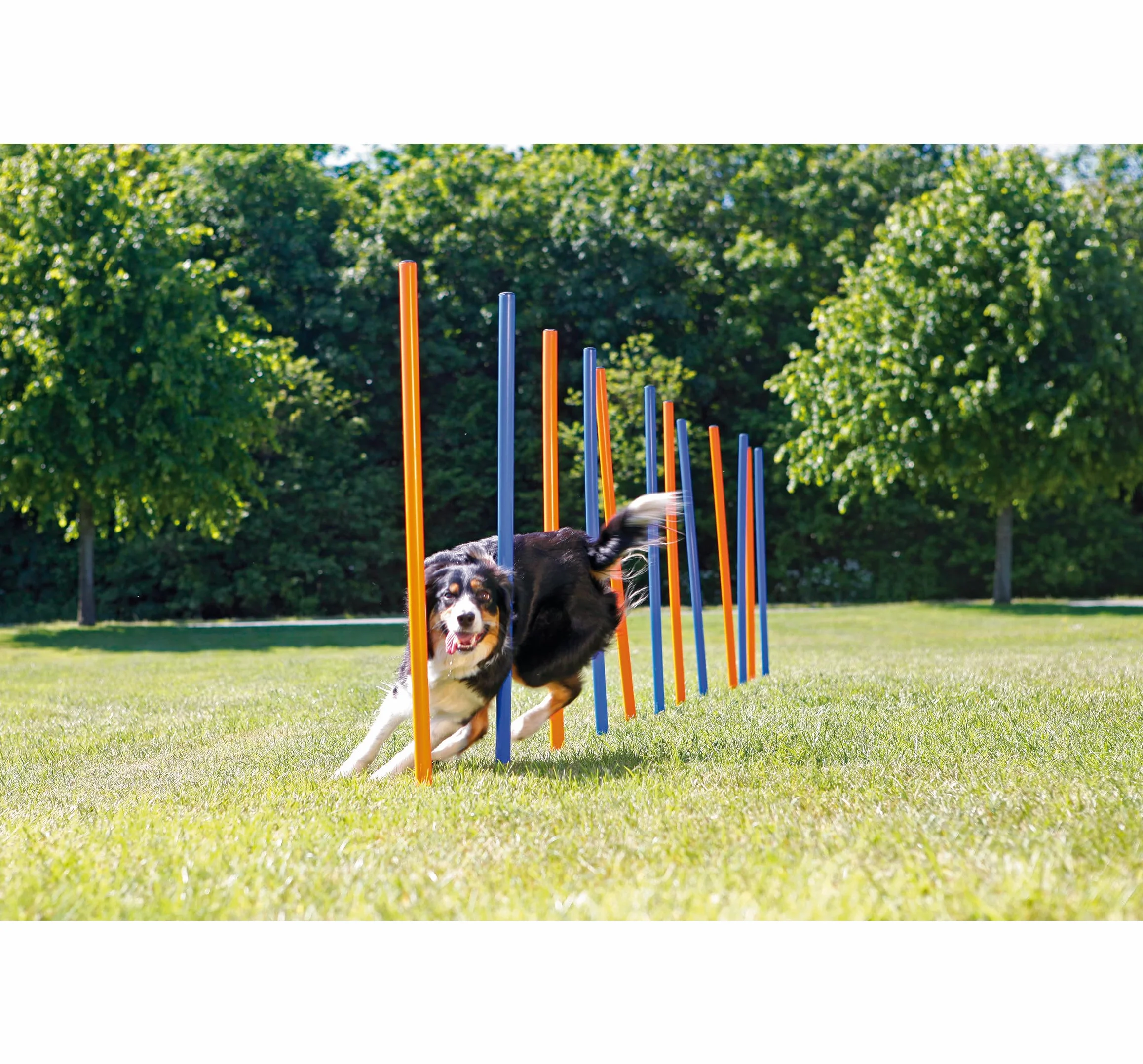 Trixie Dog Activity Agility Slalom 115H x 3W x 115L cm 12 Pieces Bleu Orange