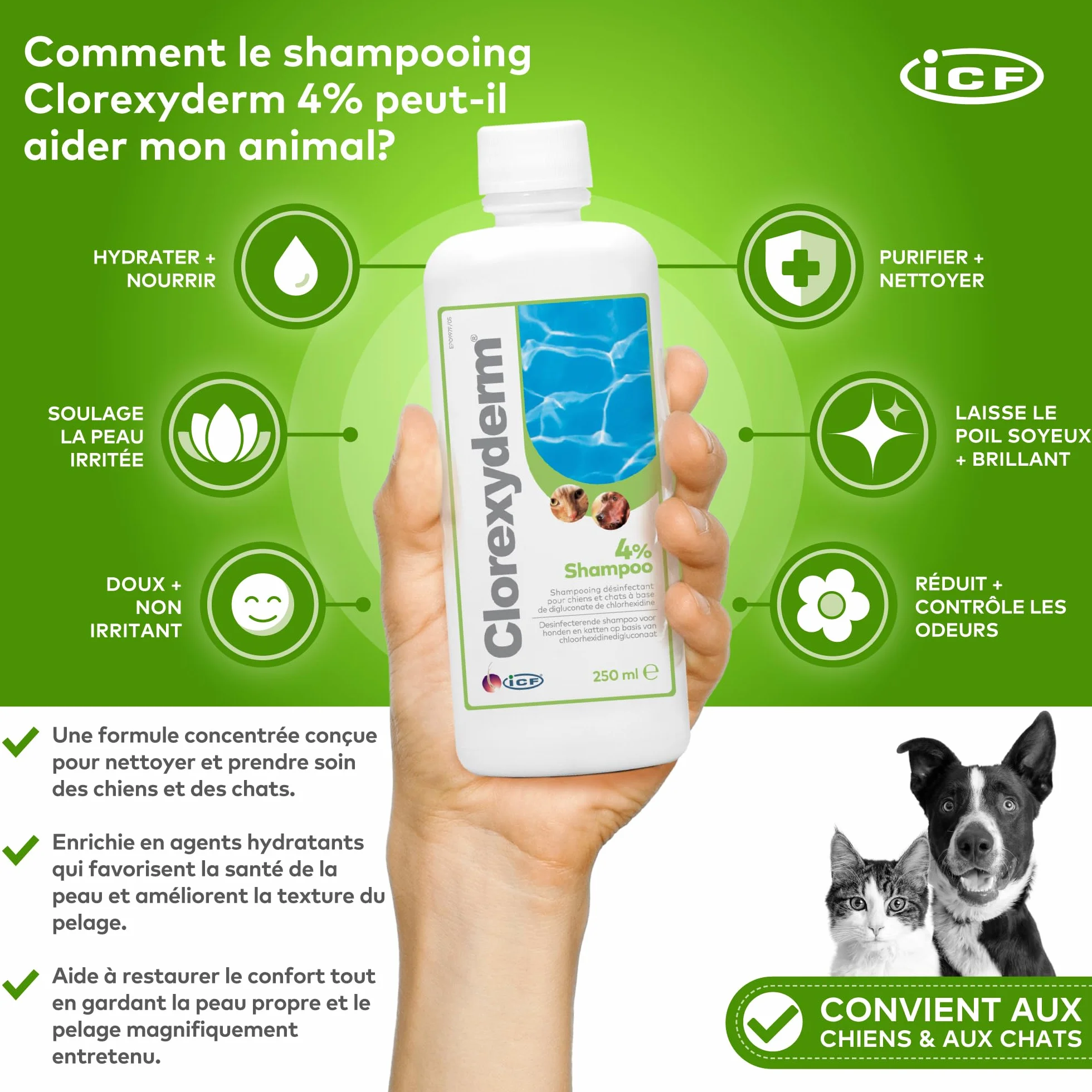 ICF | Clorexyderm 4% Shampoing Chien | Shampooing Chien Antiseptique, Hydratant et Anti Odeur pour Chien et Chat | Assainit, Hydrate et Protège la Peau | 250ml