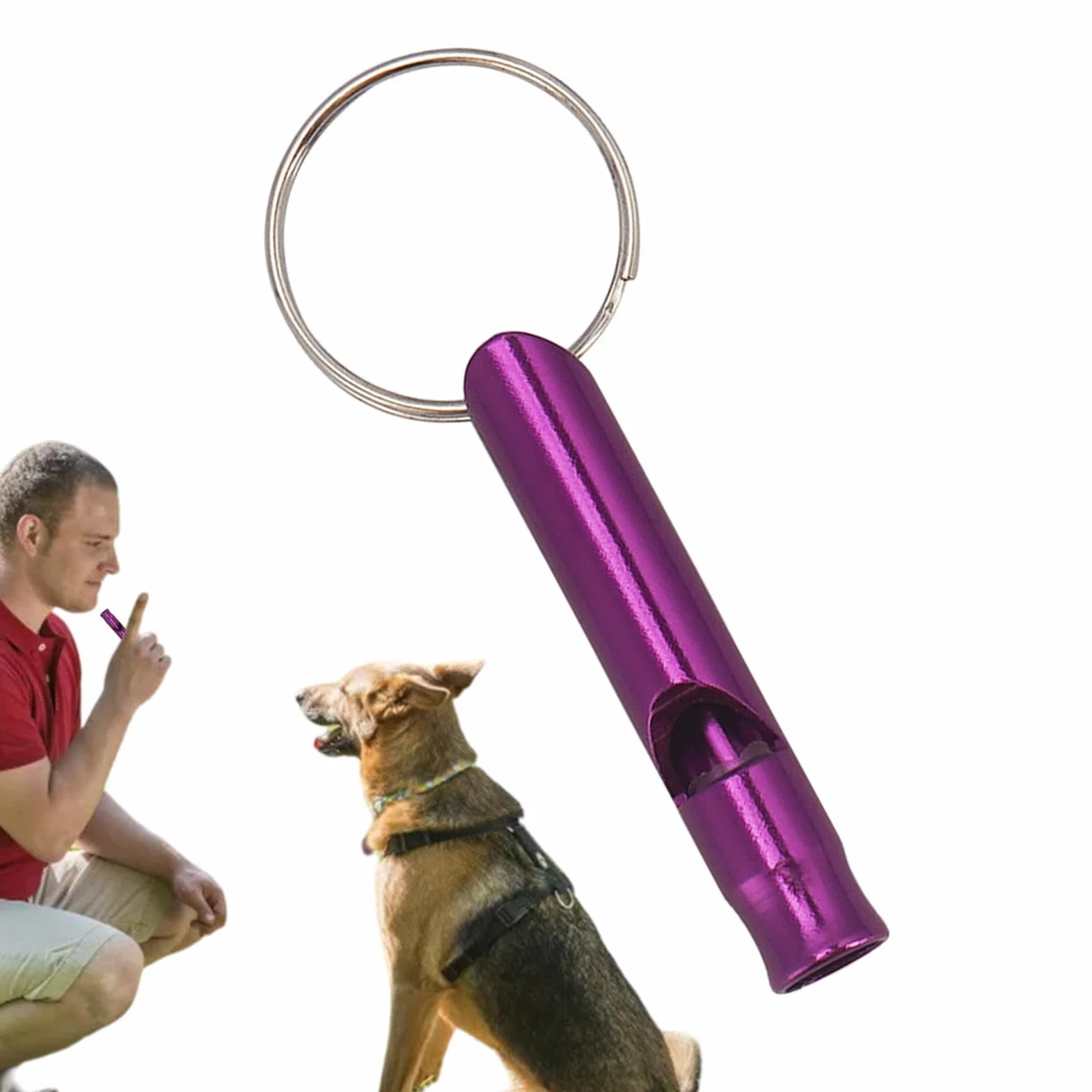 Sifflet de dressage pour chien fréquences réglables ensemble dressage chiot chat