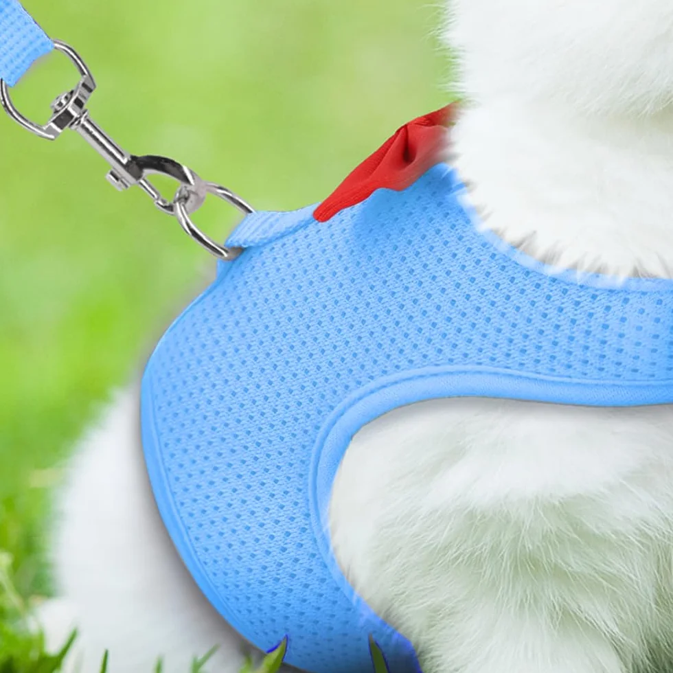Harnais Laisse Lapin Réglable Gilet Marche Maille Respirante Nœud Papillon Formel