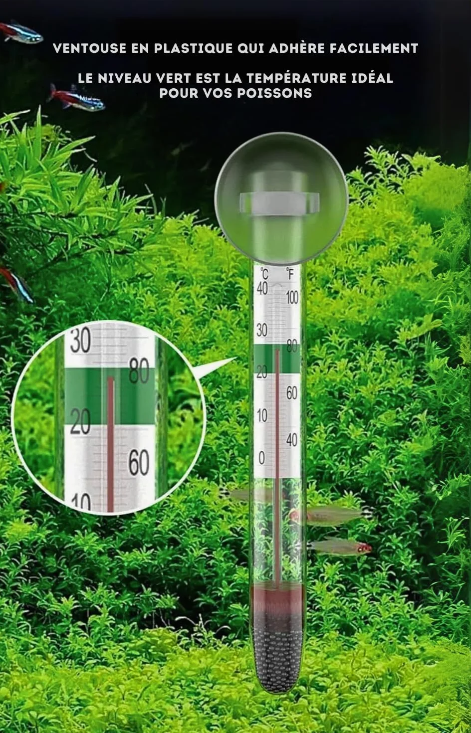 Thermomètre Flottant pour Aquarium - Précision et Facilité d'Utilisation pour un Environnement Aquatique Optimal