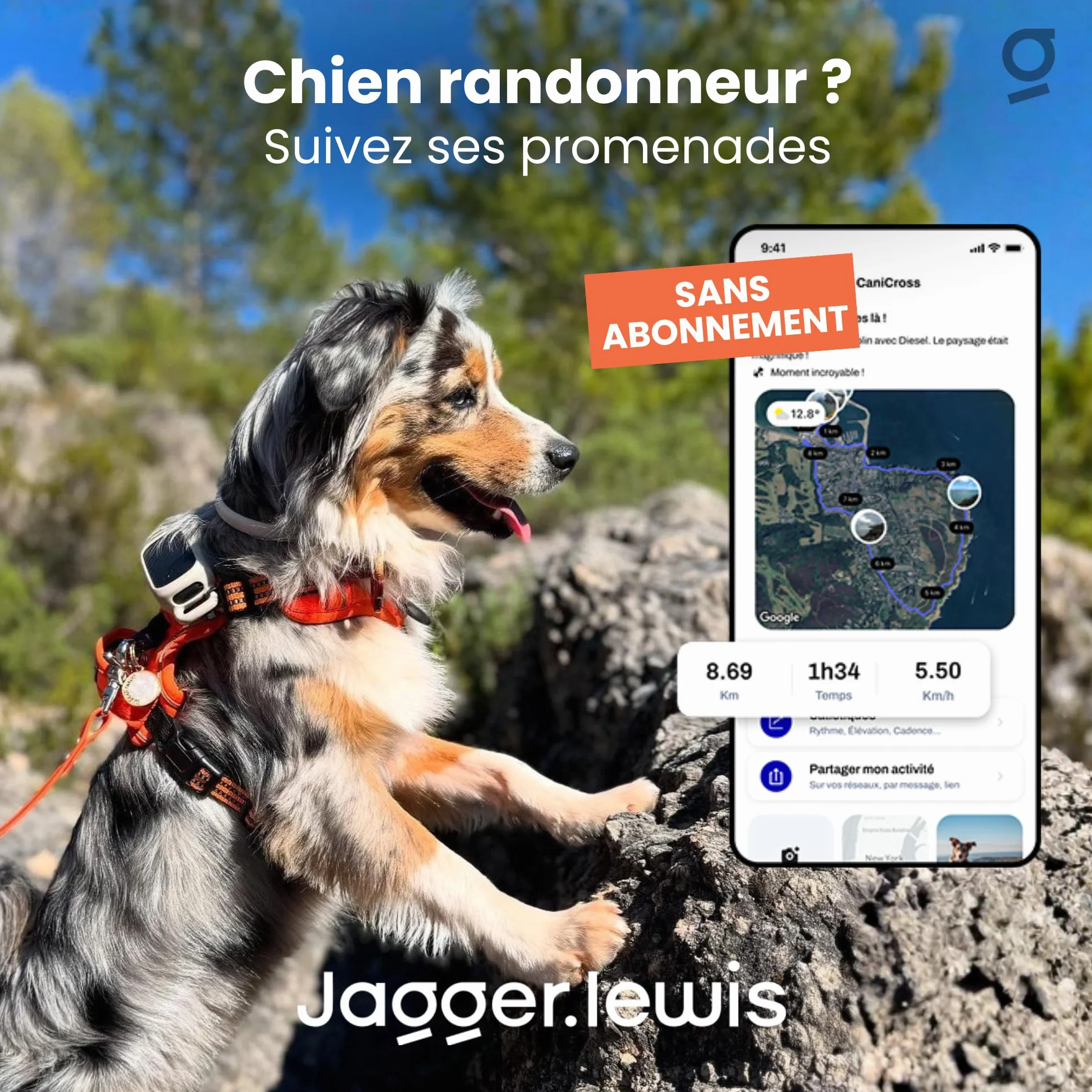 Jagger Lewis GPS Collier Chien sans Abonnement Localisation Direct Anti-Fugue Suivi Activité Bien-Être iOS Android Charbon Smartdock