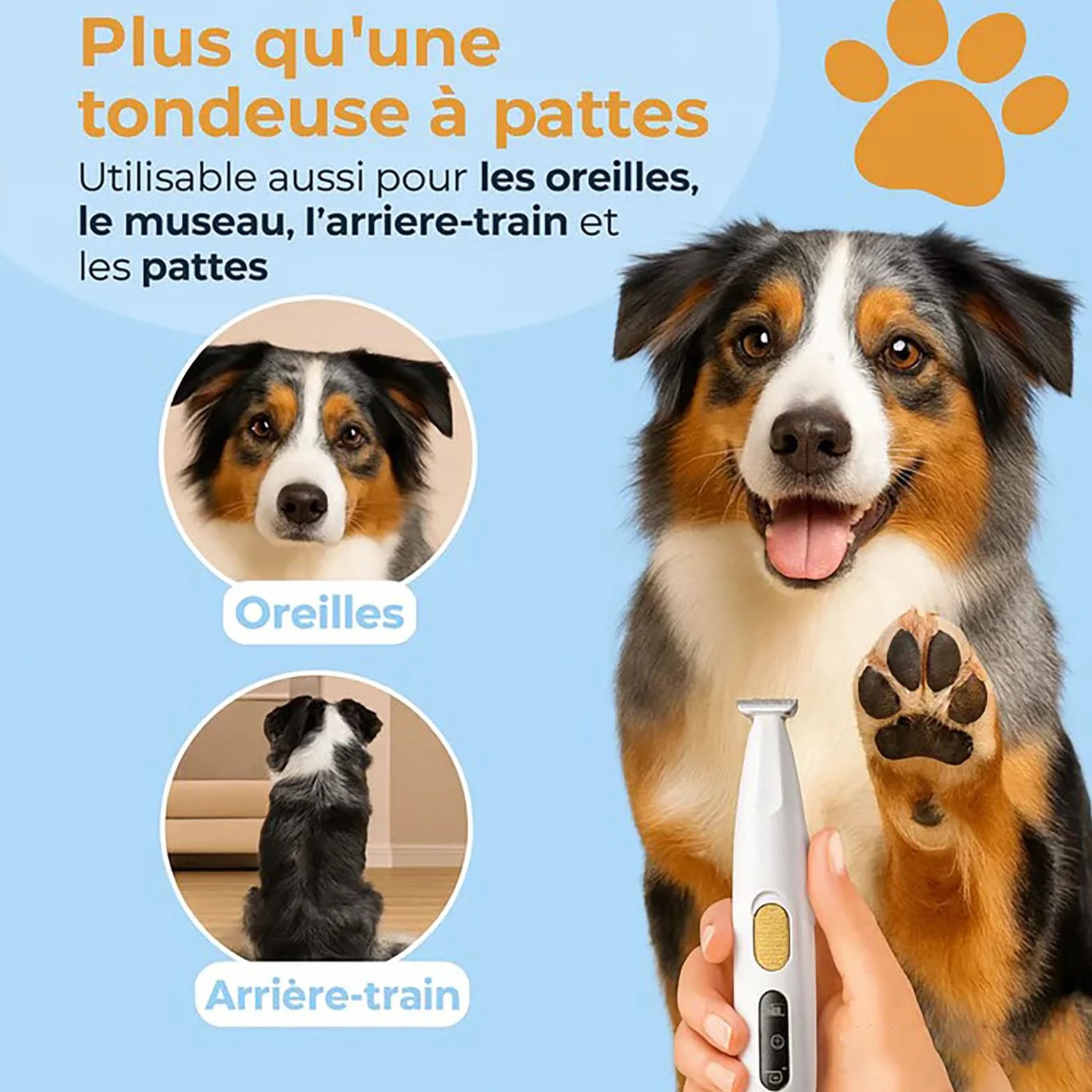Patounet Tondeuse Chat Poils Longs, Soin Pattes Sans Douleur, Led Intégrée