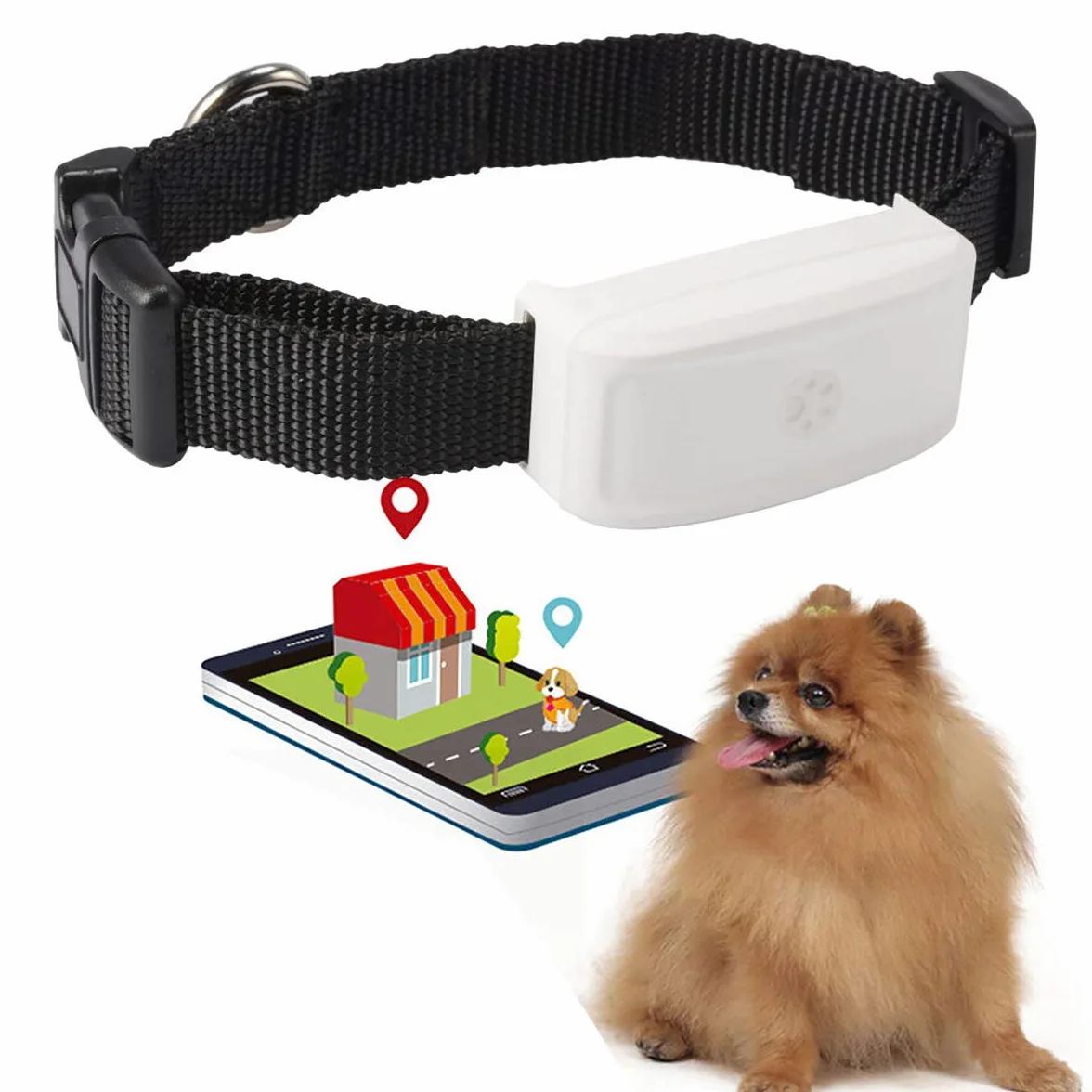 Zeerkeer Mini Traceur GPS pour Animaux, Chien, Chat - Moniteur d'Activité en Temps Réel Tk911