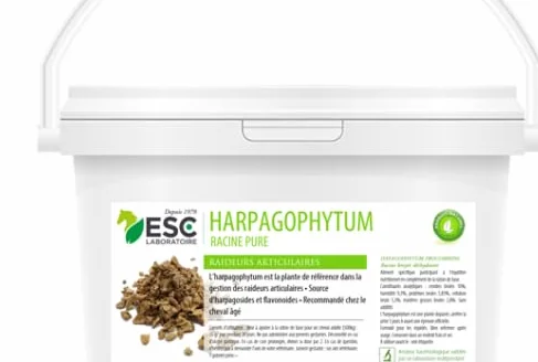 ESC LABO HARPAGOPHYTUM 500 grammes