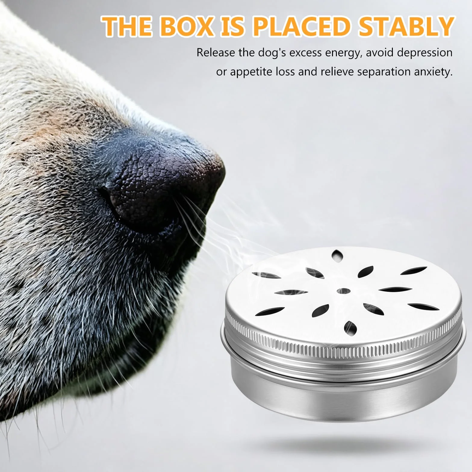 Récipients à Odeur 60 ML pour Chiens de Détection, Boîte d'Entraînement Olfactif, Accessoires de Dressage Canin