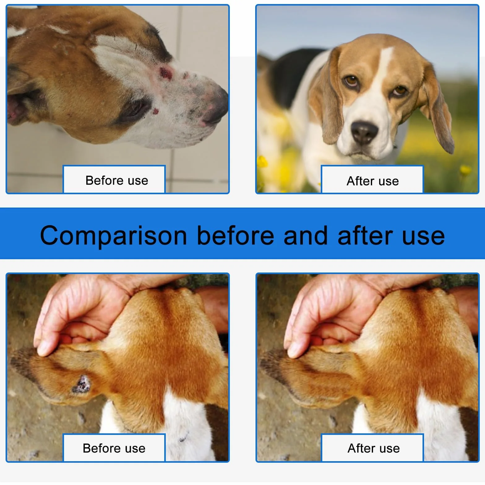 Pansement Liquide Transparent Imperméable pour Chiens et Chats - Spray de Guérison pour Animaux