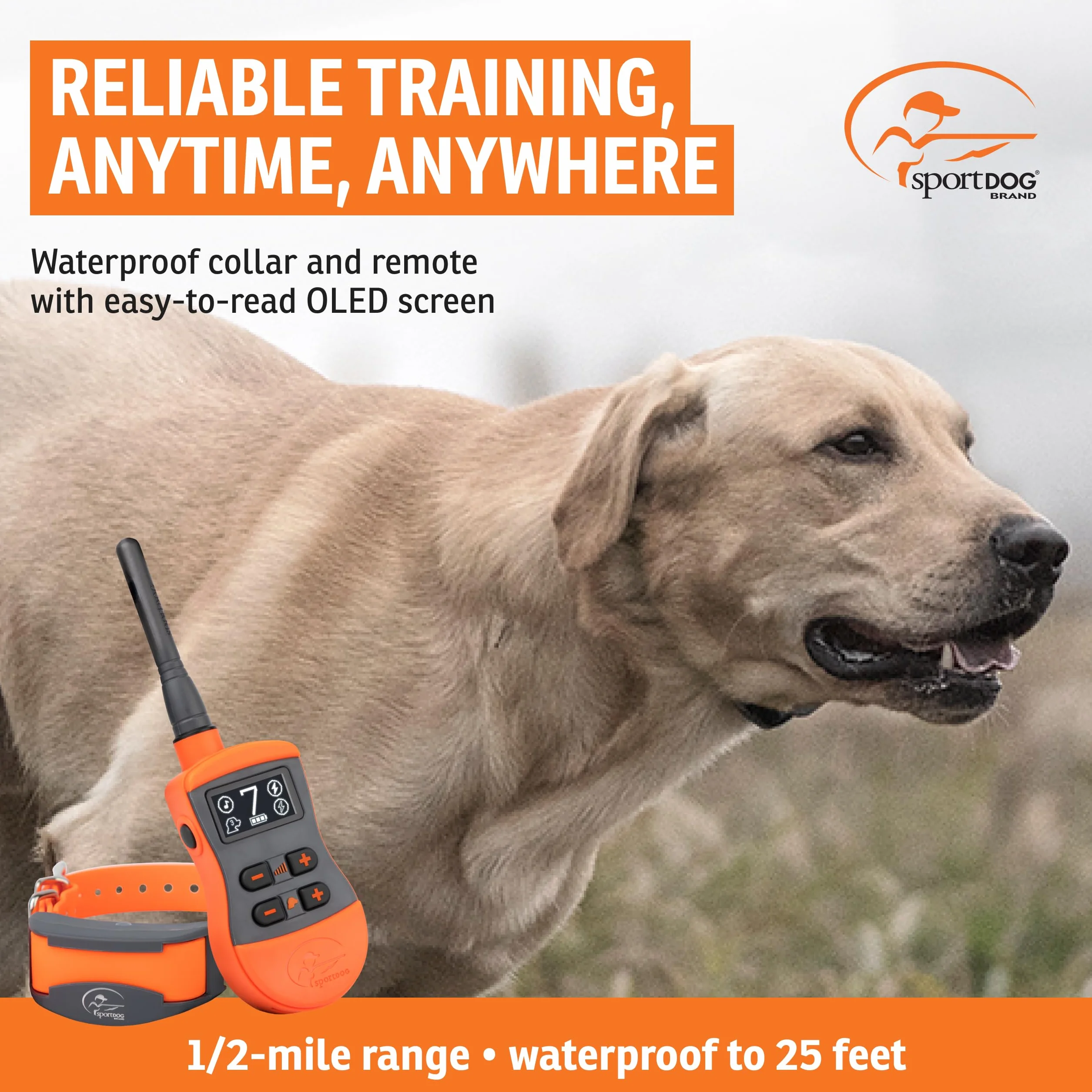 SportDOG - Collier de Dressage pour Chien avec Télécommande SportTrainer, Submersible, 10 Niveaux de Stimulation Statique, Vibration et Signal Sonore - Rechargeable - Portée 800 m
